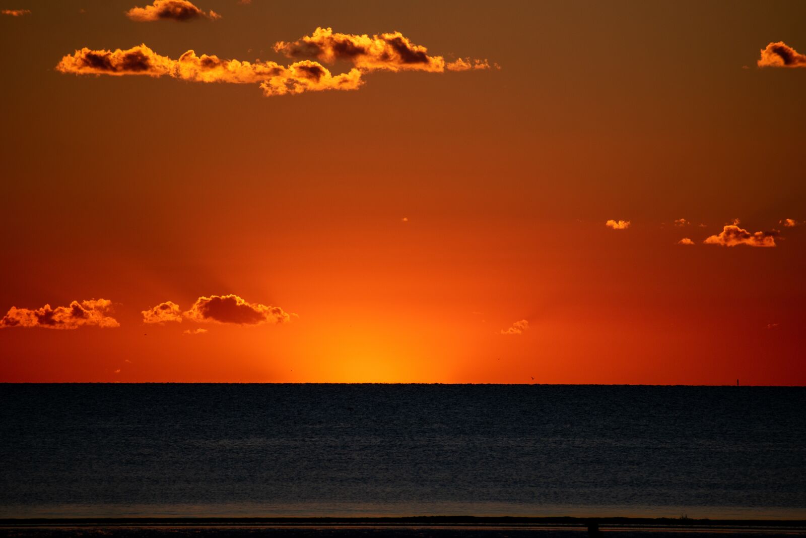 Nikon D5600 sample photo. Golden hour, sunset, horizon photography