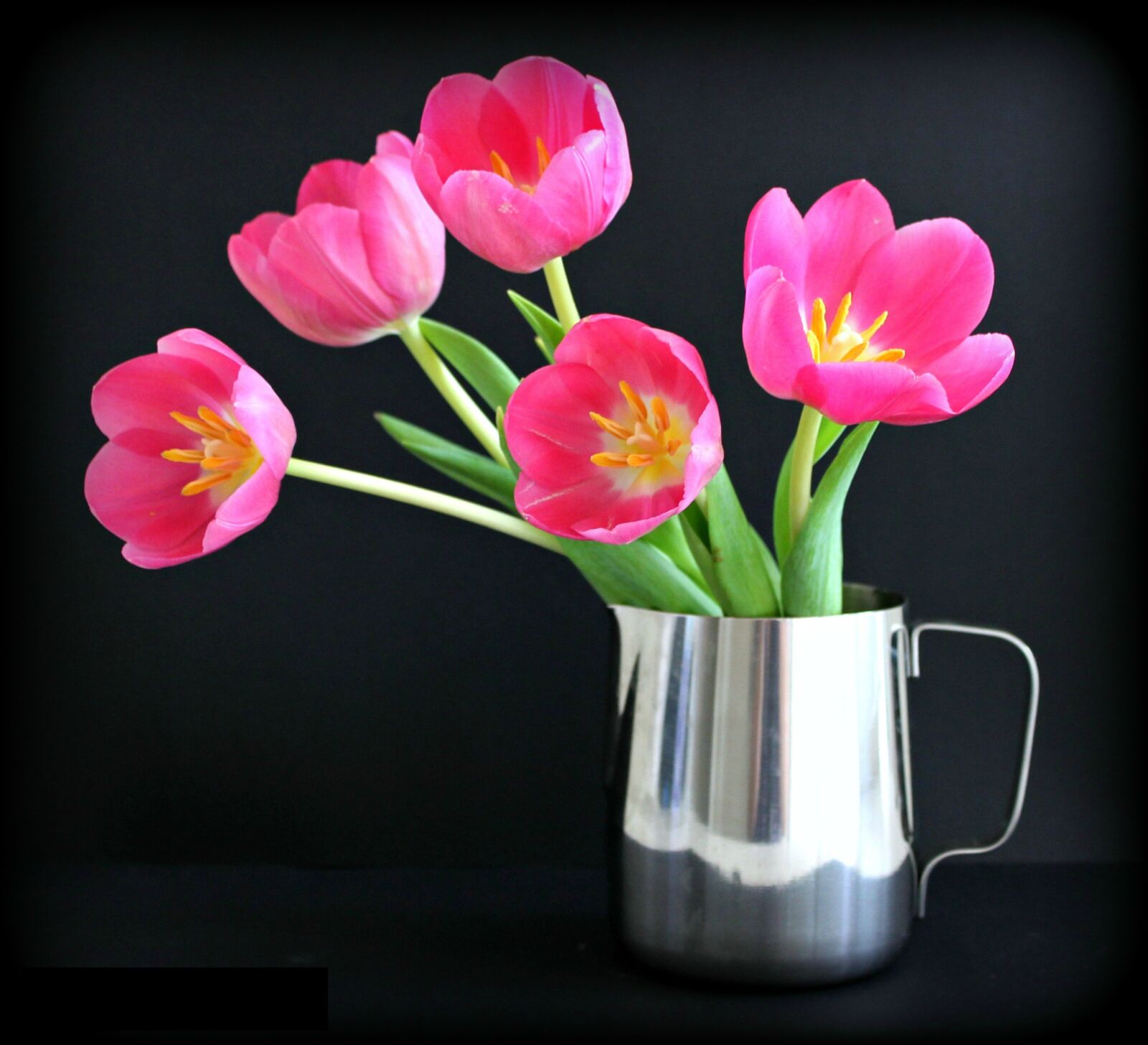 Canon EOS 1100D (EOS Rebel T3 / EOS Kiss X50) sample photo. Tulips, flower, jug photography
