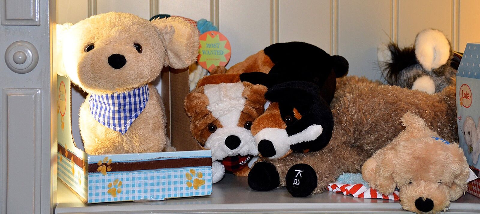 Nikon D3200 sample photo. Teddy, bear, stuffed animals photography