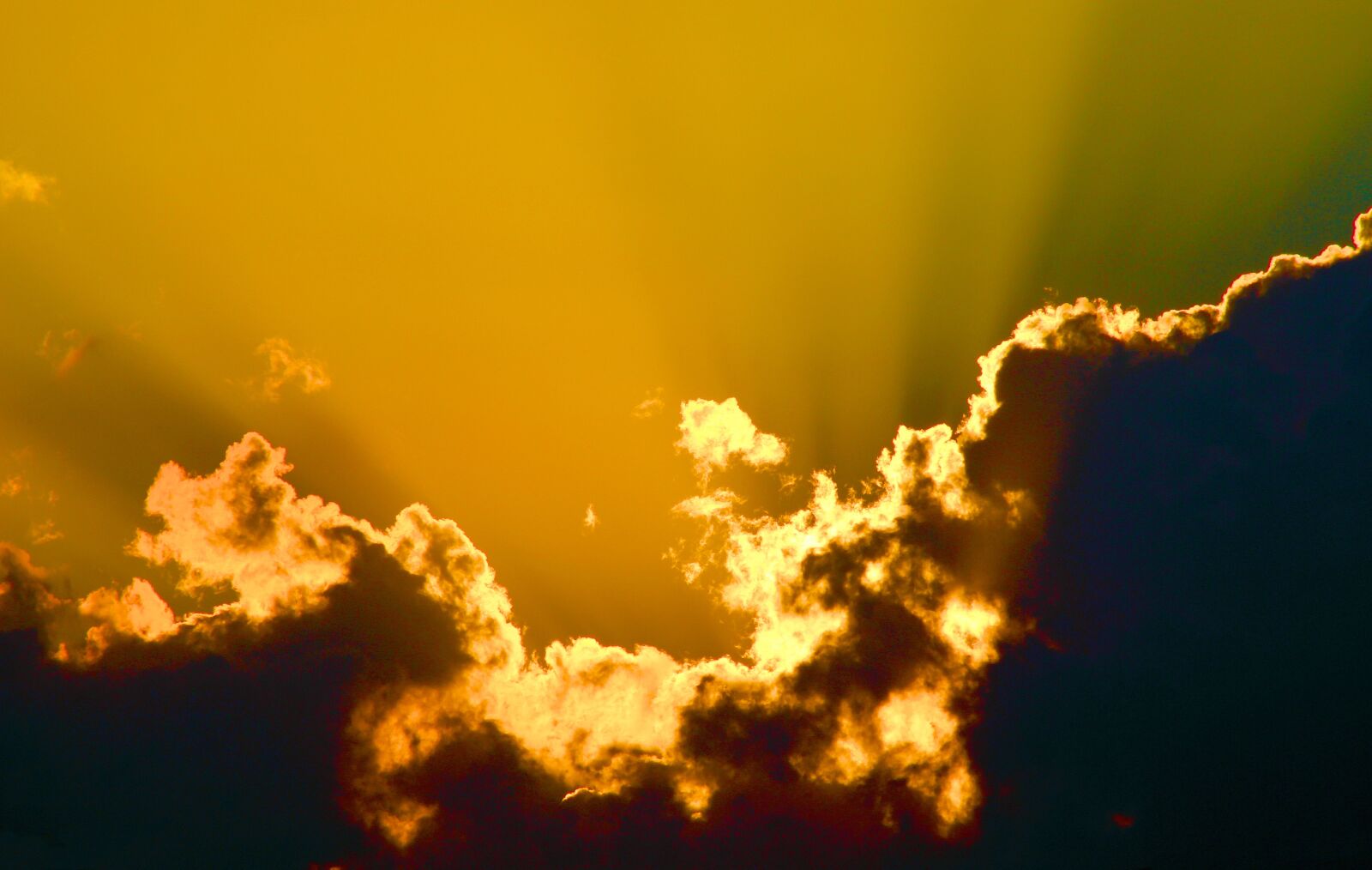 Canon EOS 600D (Rebel EOS T3i / EOS Kiss X5) sample photo. Smoke, nature, sky photography