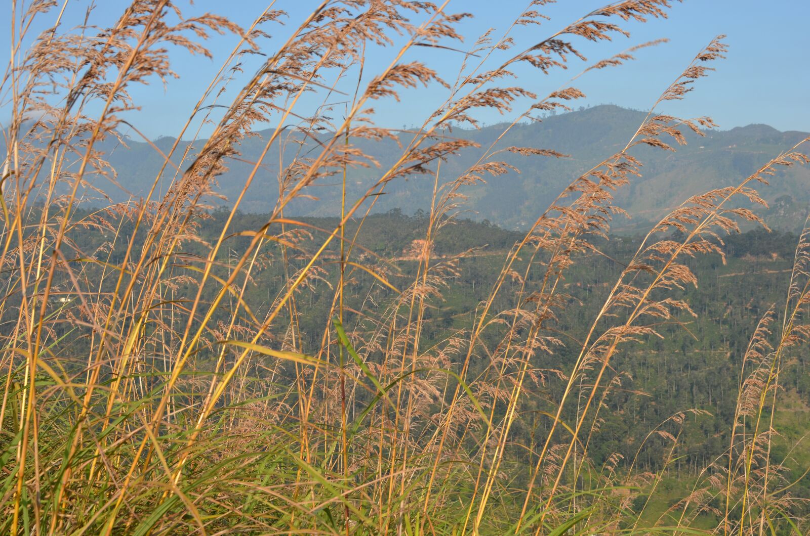 Nikon D7000 sample photo. Grass, hills, landscape photography
