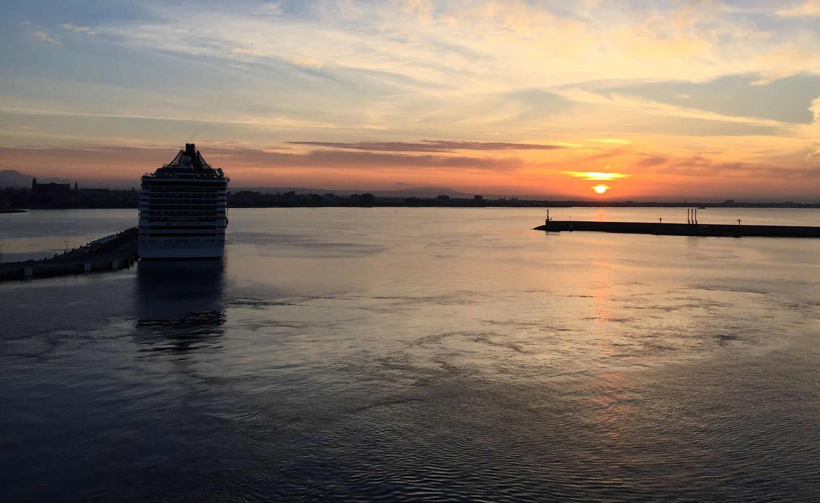Apple iPhone 6 sample photo. Color, palma, sea photography