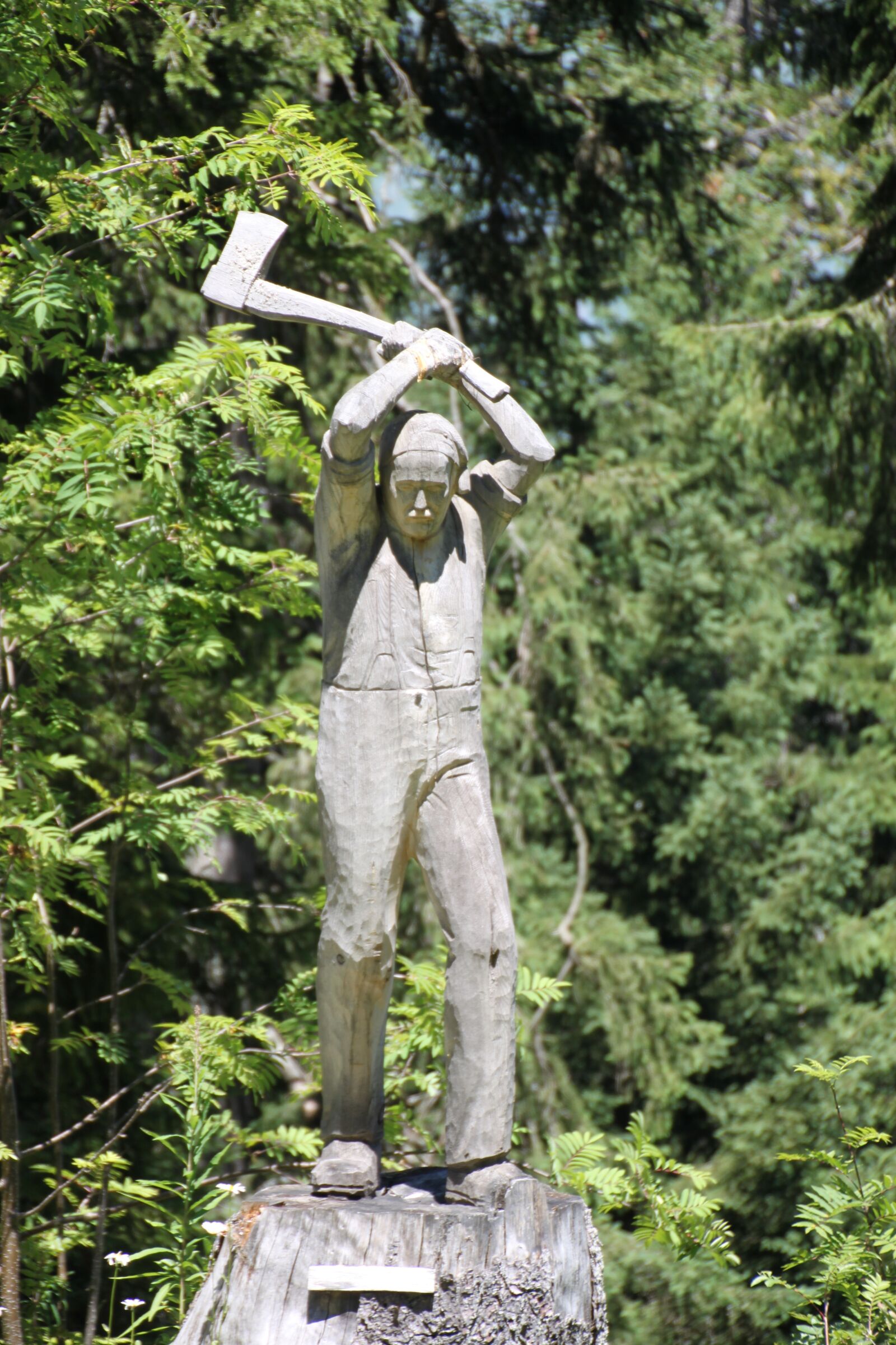 Canon EOS 500D (EOS Rebel T1i / EOS Kiss X3) sample photo. Carve, carving, wood photography