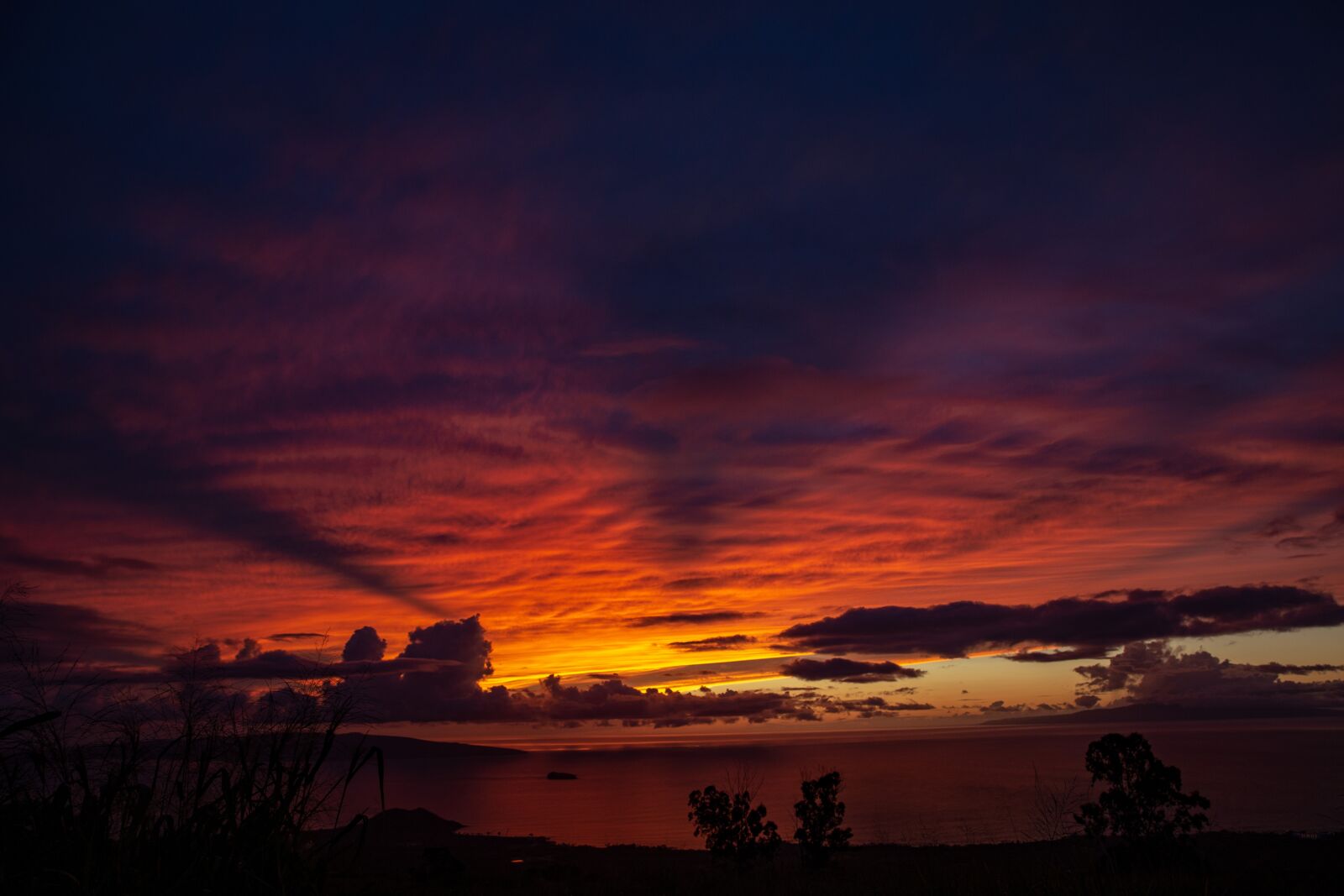 Canon EF 24-70mm F2.8L II USM sample photo. Sunset, hawaii, tropicale photography