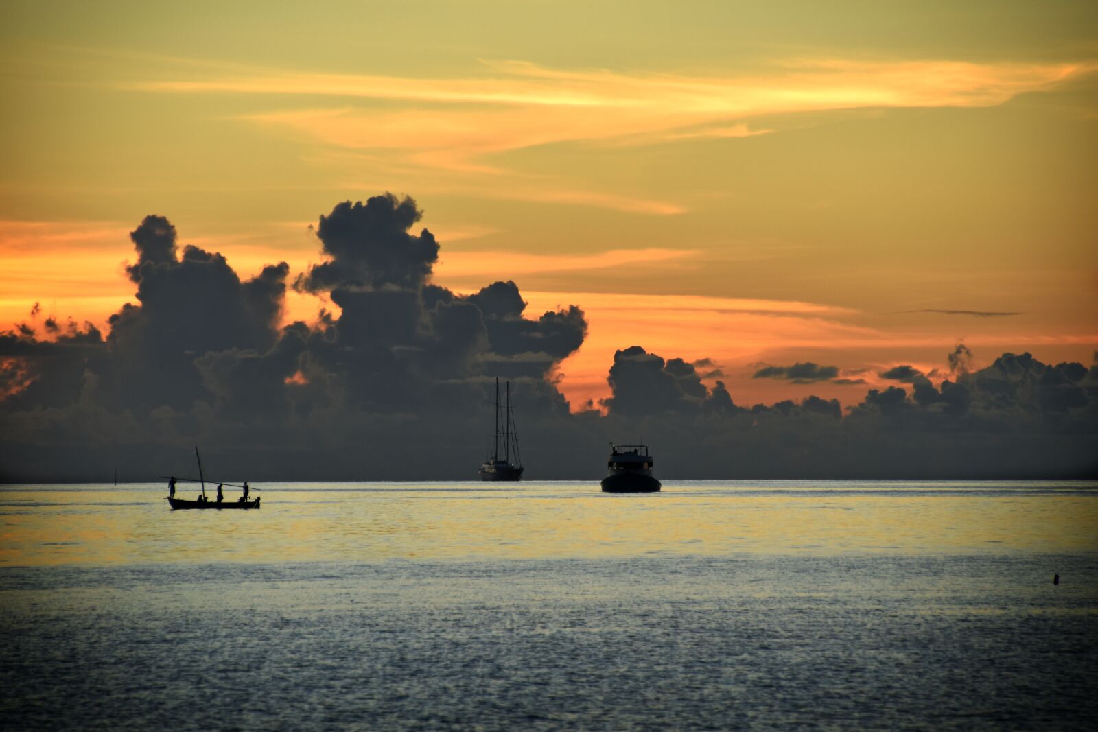 Nikon D5500 sample photo