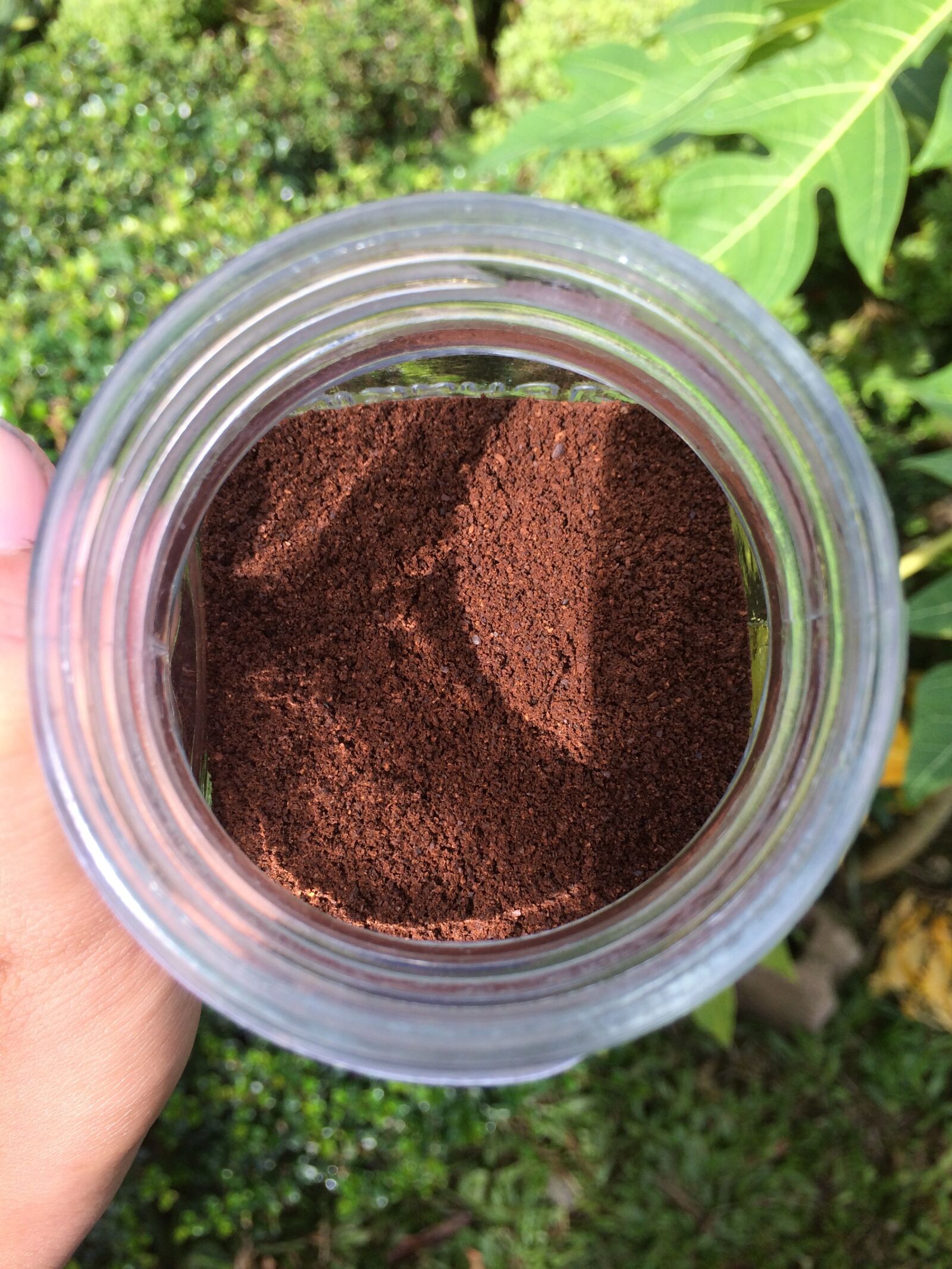 iPhone 5s back camera 4.15mm f/2.2 sample photo. Coffee, powder, mug photography