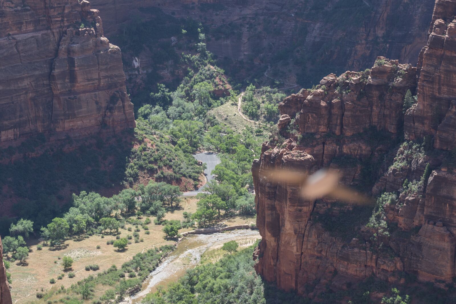 Canon EOS 7D Mark II + Canon EF 70-200mm F2.8L IS II USM sample photo. Zion, angels landing, canyon photography