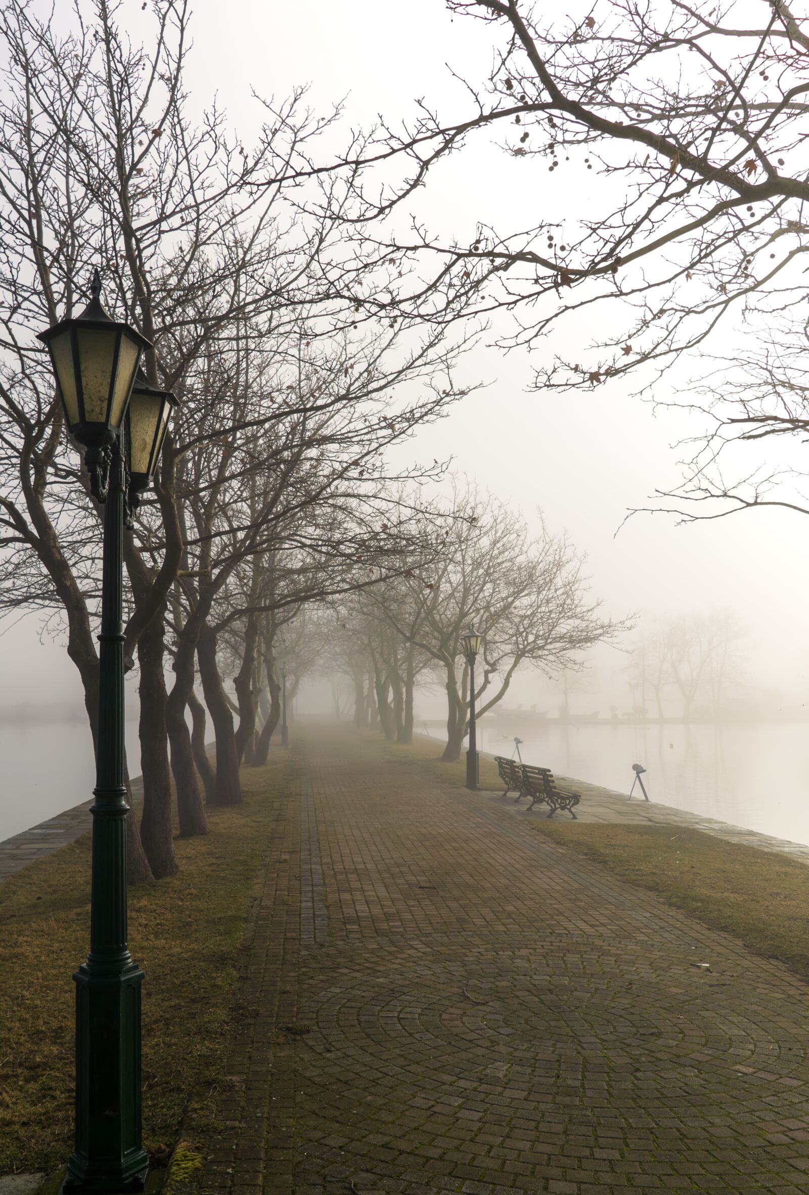 Nikon D5300 sample photo. Fog, foggy path, nature photography