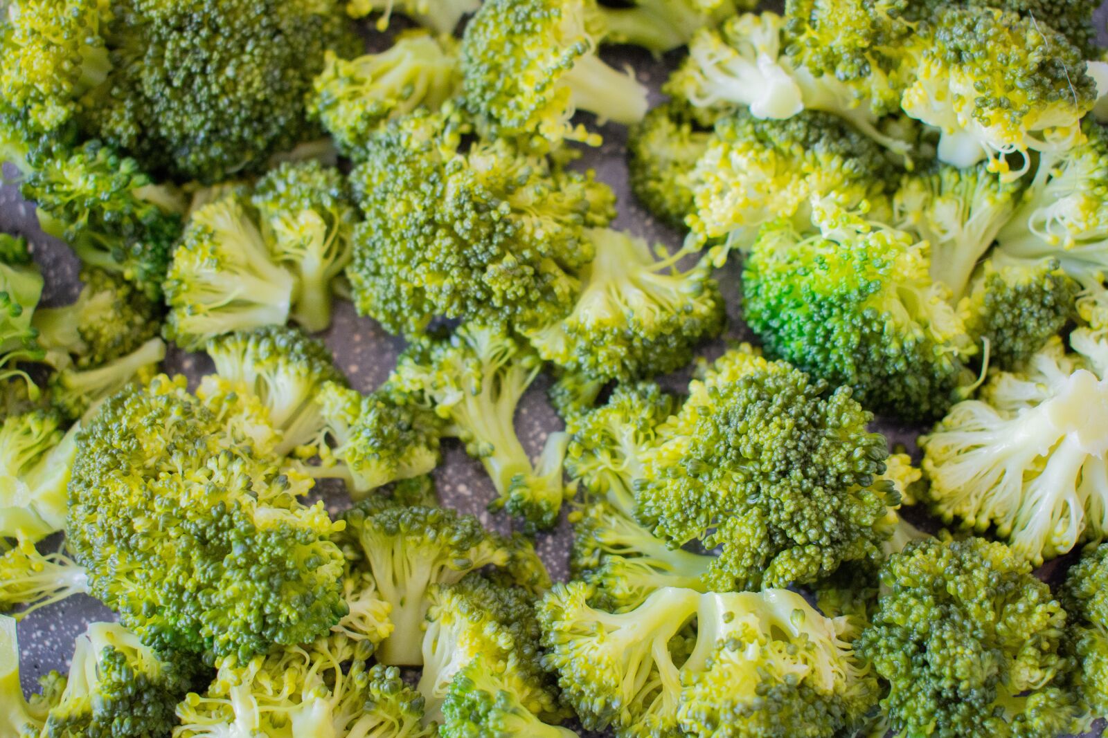 Nikon D7200 sample photo. Green, broccoli, nutrition photography