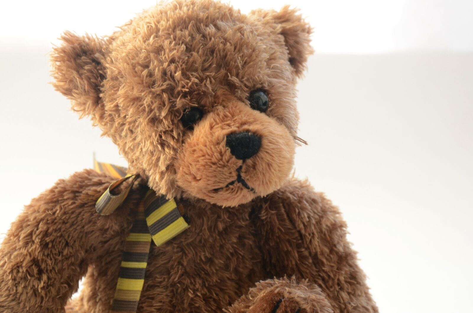 Nikon D7000 sample photo. Bear, teddy, toy photography
