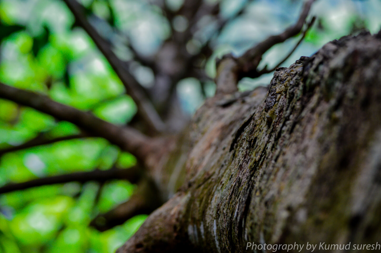 Nikon D3200 sample photo