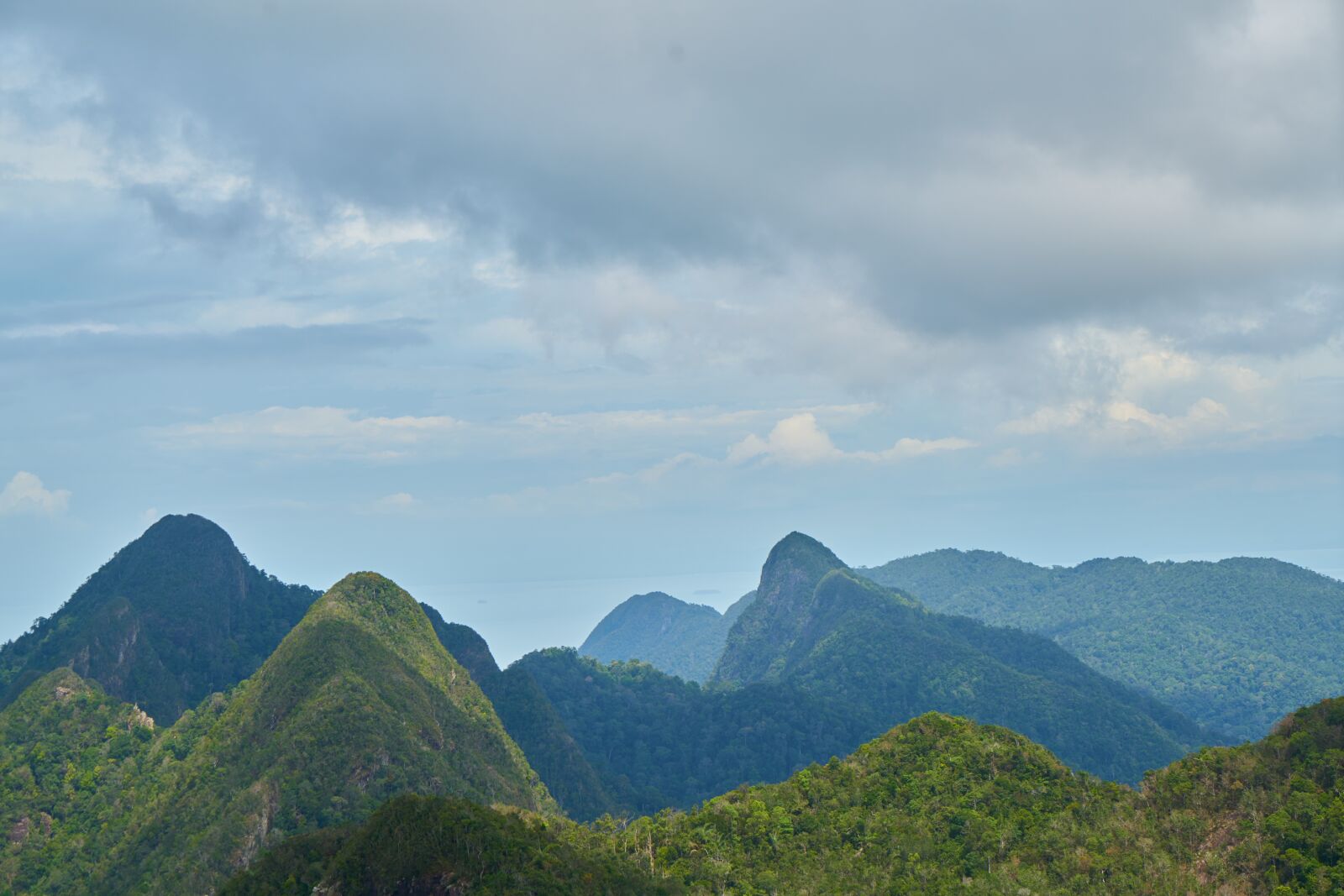 Sony a7R II sample photo. Mountain, forest, landscape photography