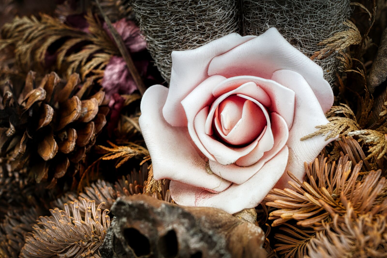 Panasonic Lumix DMC-GX8 sample photo. Flower, decoration, mourning photography