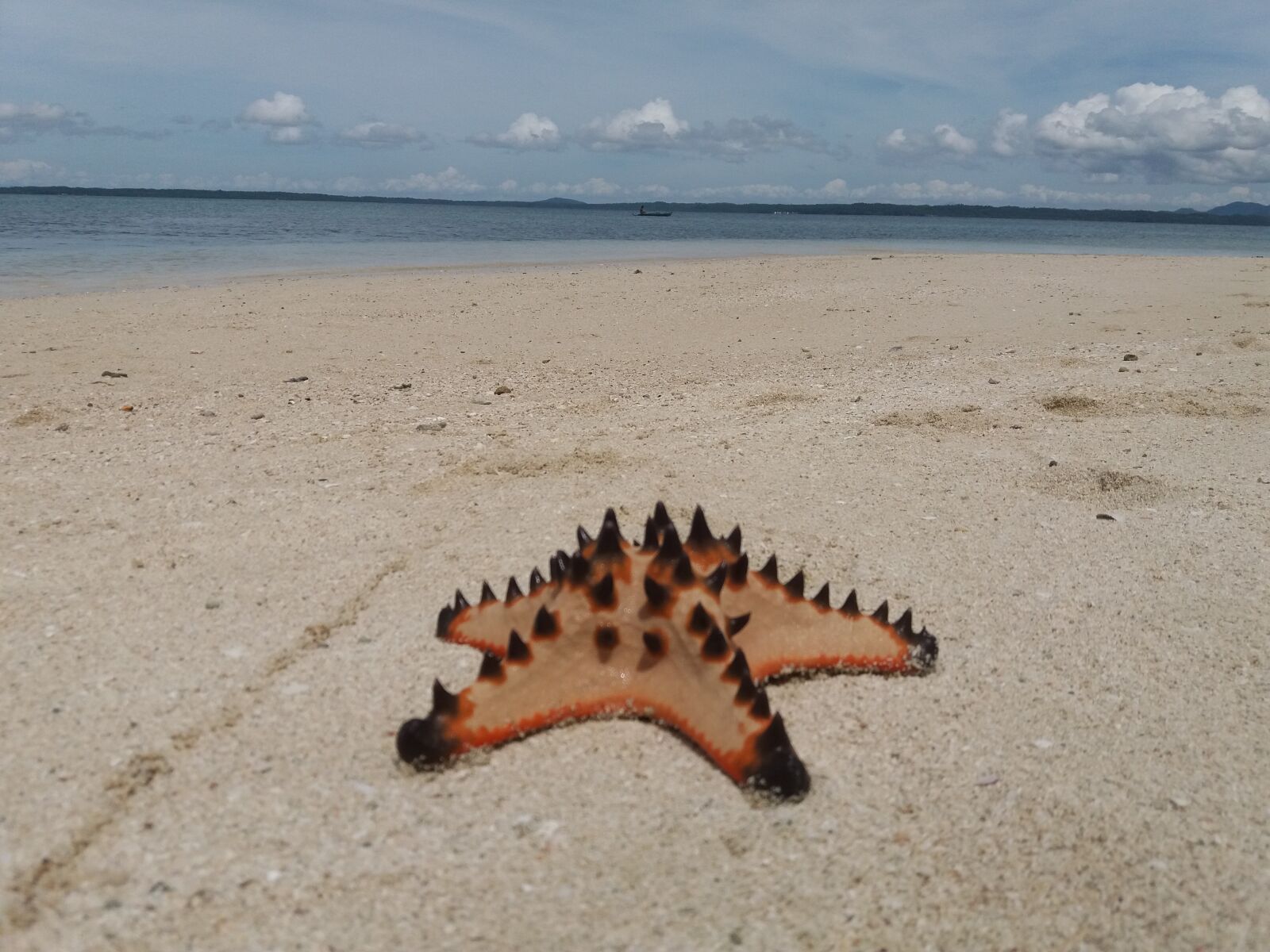 Samsung Galaxy J5(2016) sample photo. Beach, clouds, corals, ocean photography