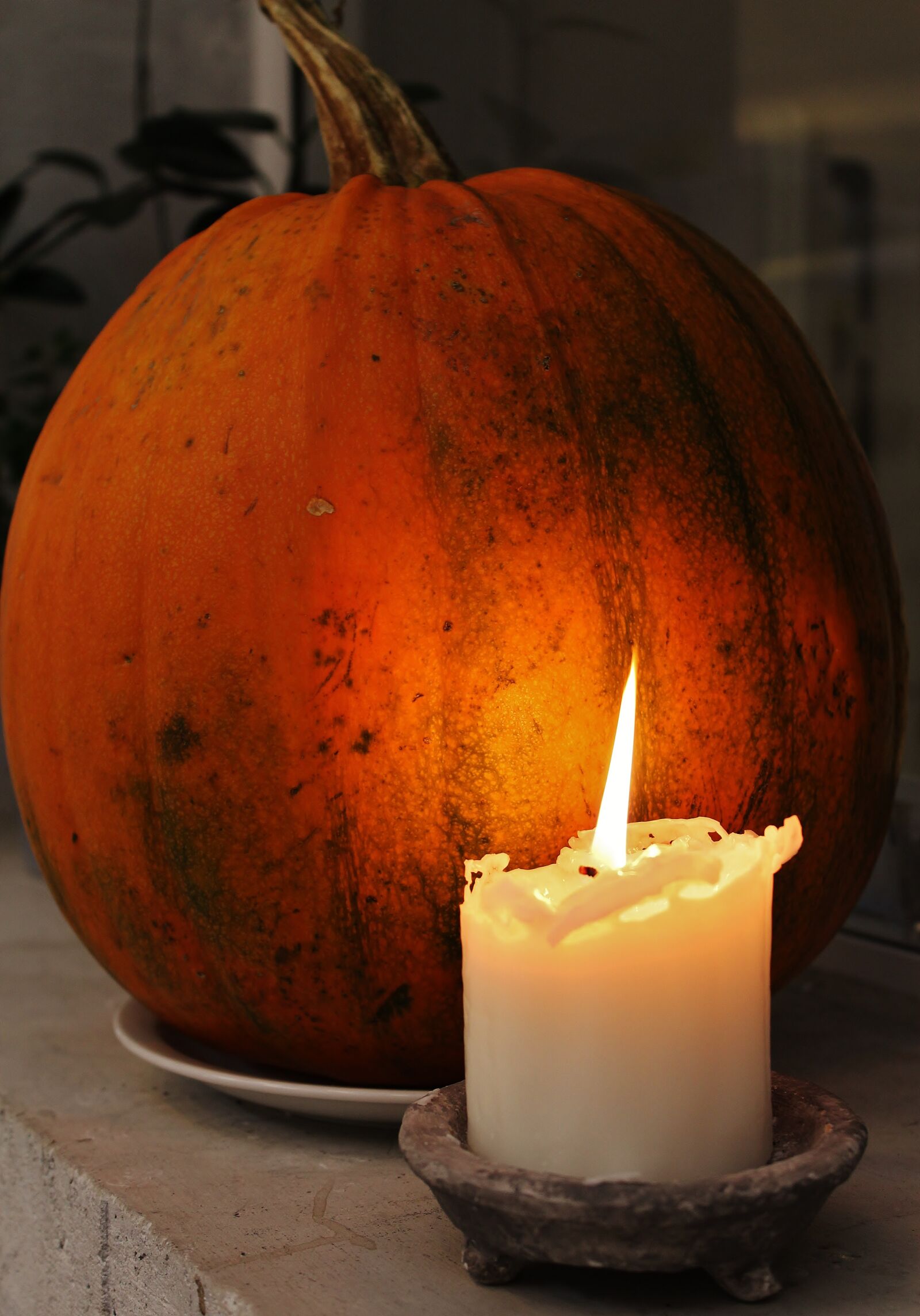 Canon EOS 1300D (EOS Rebel T6 / EOS Kiss X80) sample photo. Pumpkin, light, halloween photography