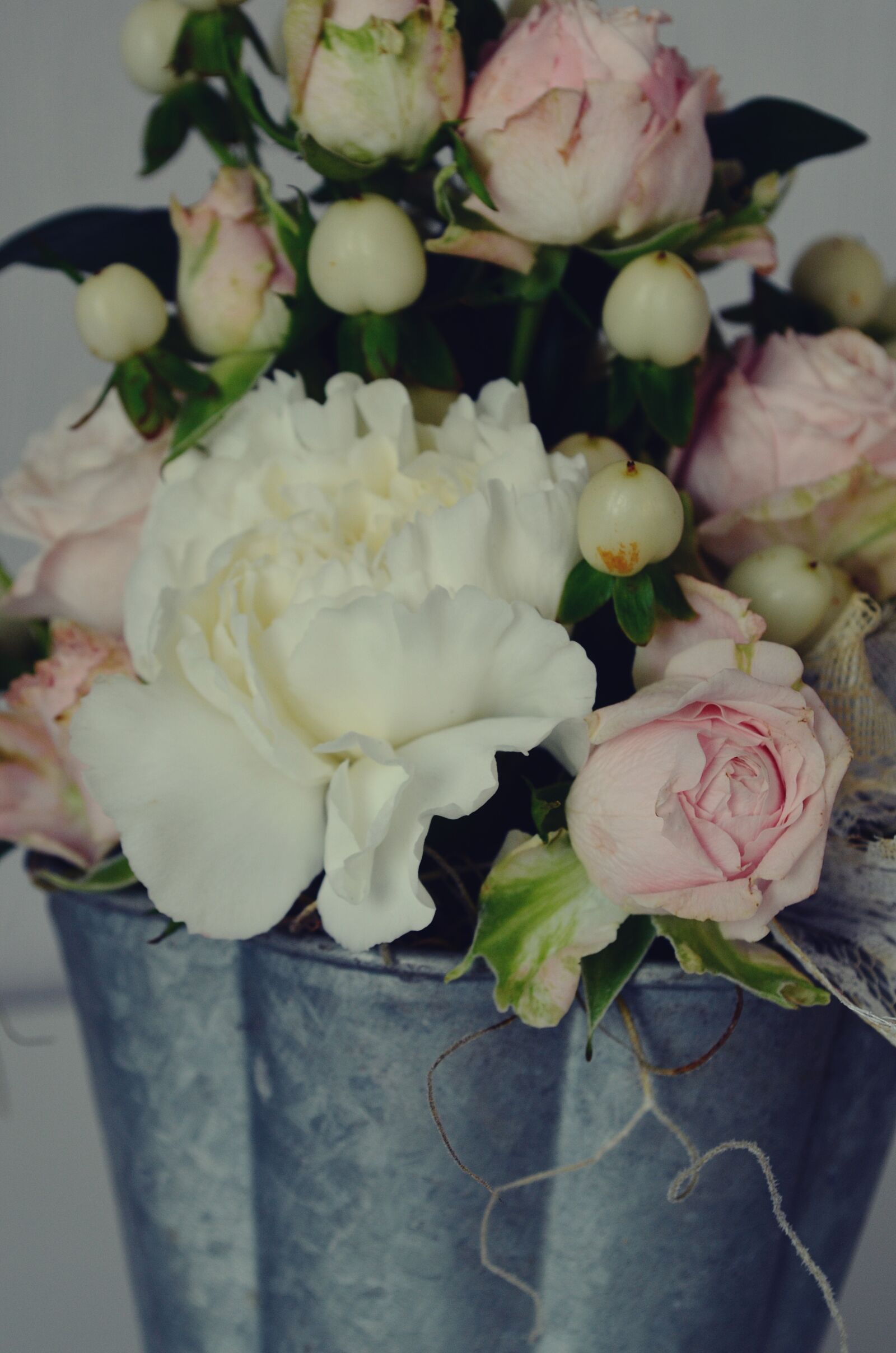 Nikon D5100 sample photo. Flower, peony, pink photography