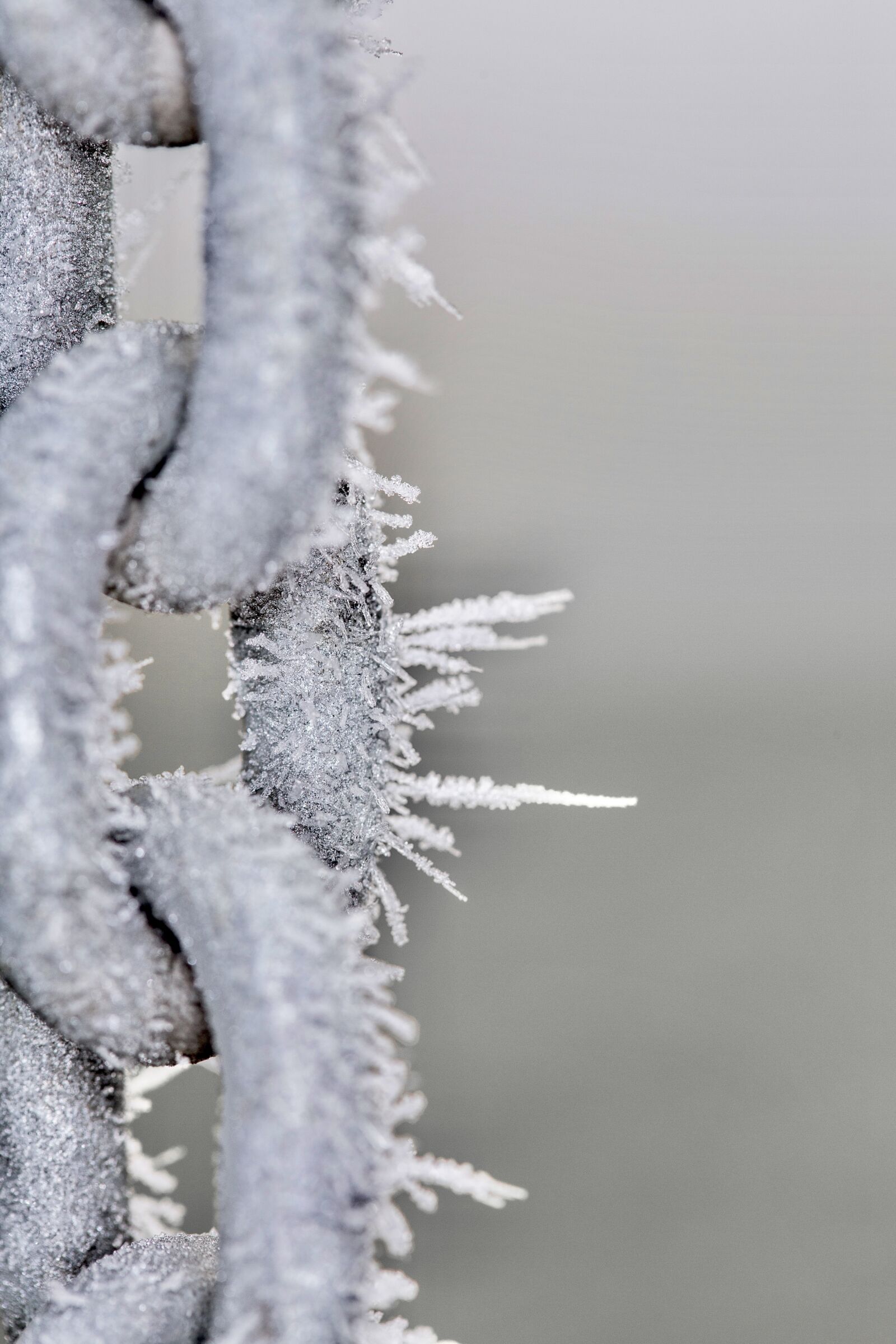 Canon EF 100mm F2.8 Macro USM sample photo. Macro, chain, winter photography