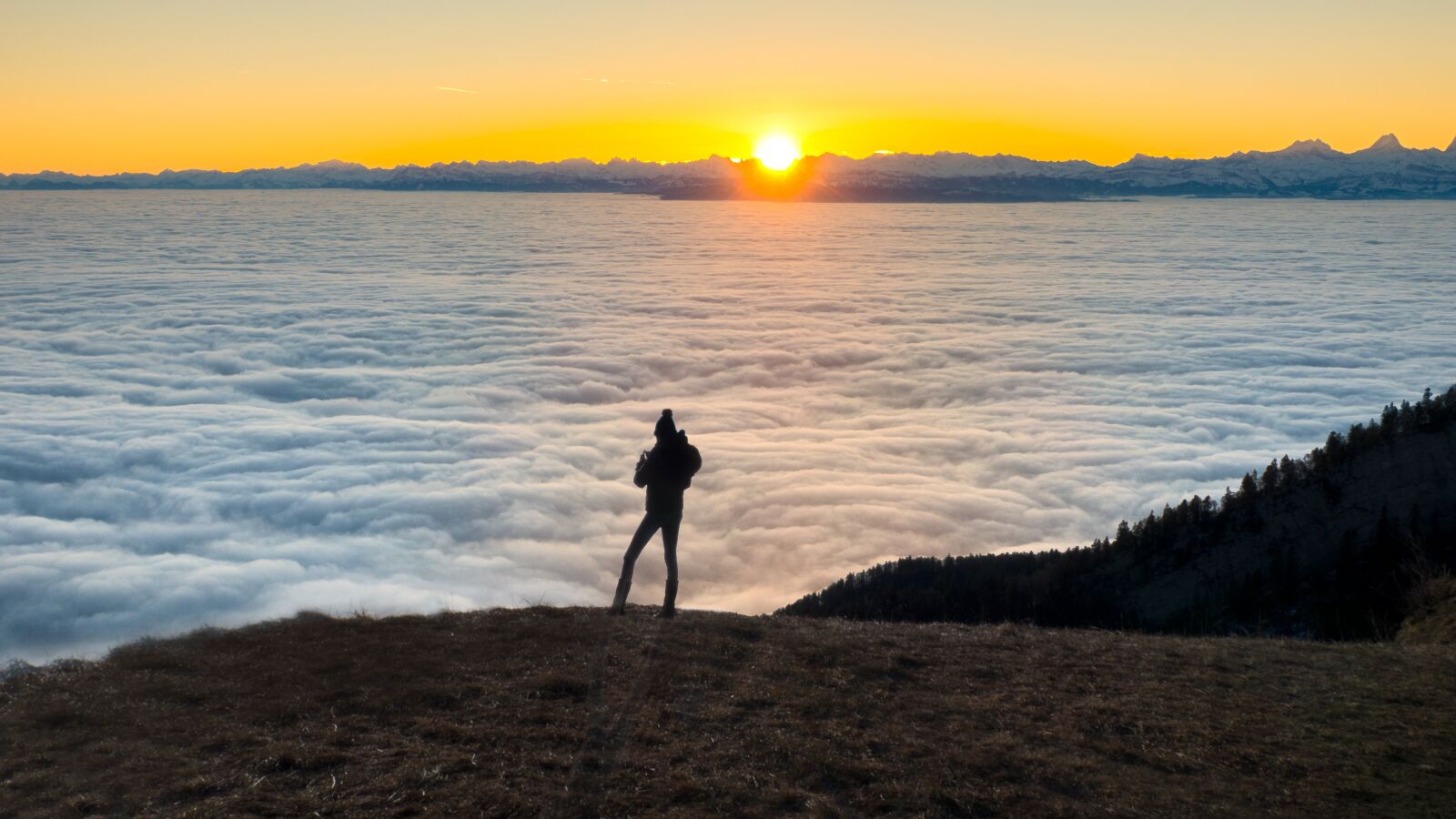 Panasonic Lumix DC-G9 sample photo. Sea of fog, fog photography