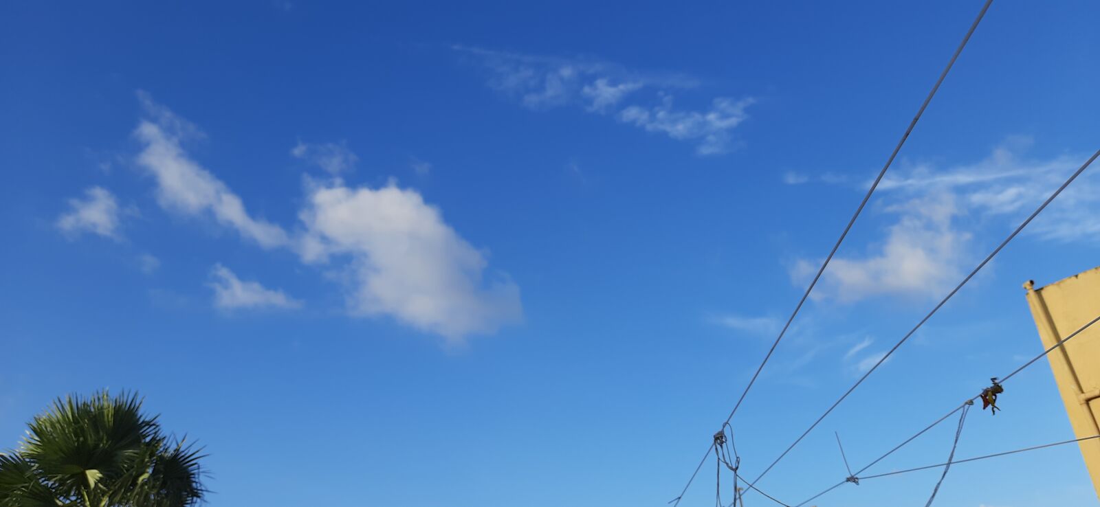 Samsung SM-M215F sample photo. Clear sky, cloud, summer photography