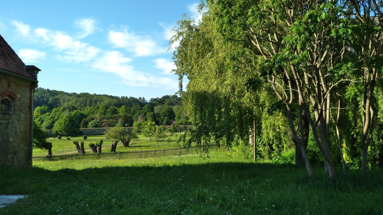nubia Z11 MINI sample photo. Altzella abbey park, nossen photography