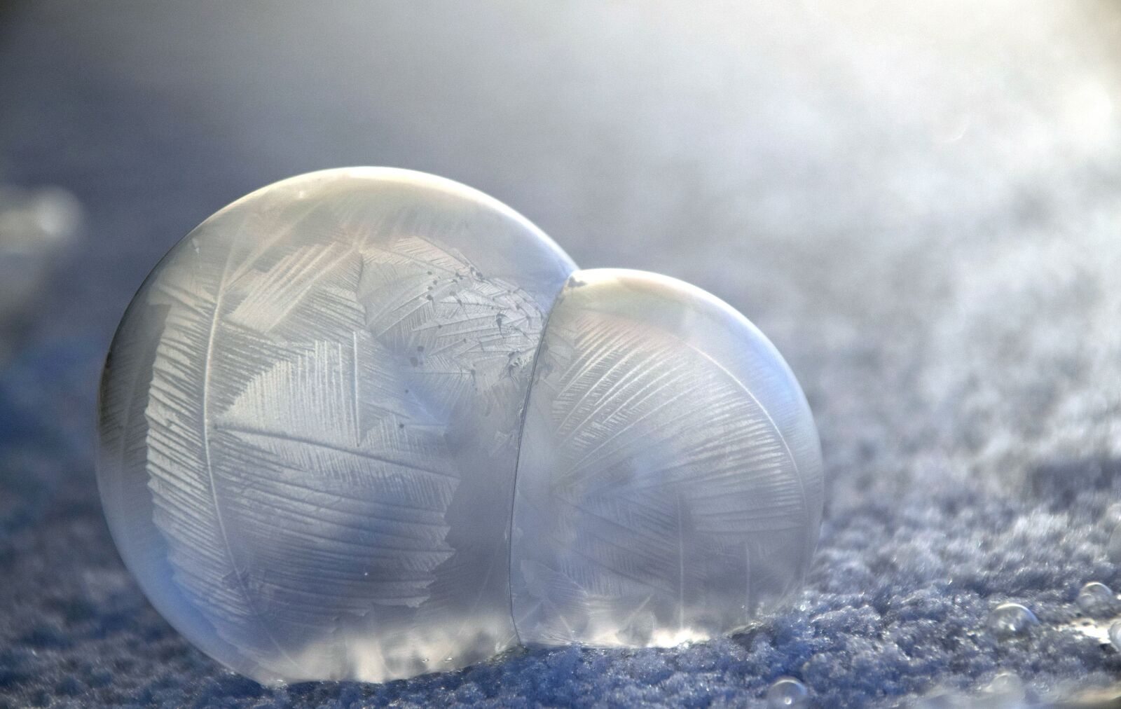 Nikon D3300 sample photo. Blow, soap bubbles, frosted photography