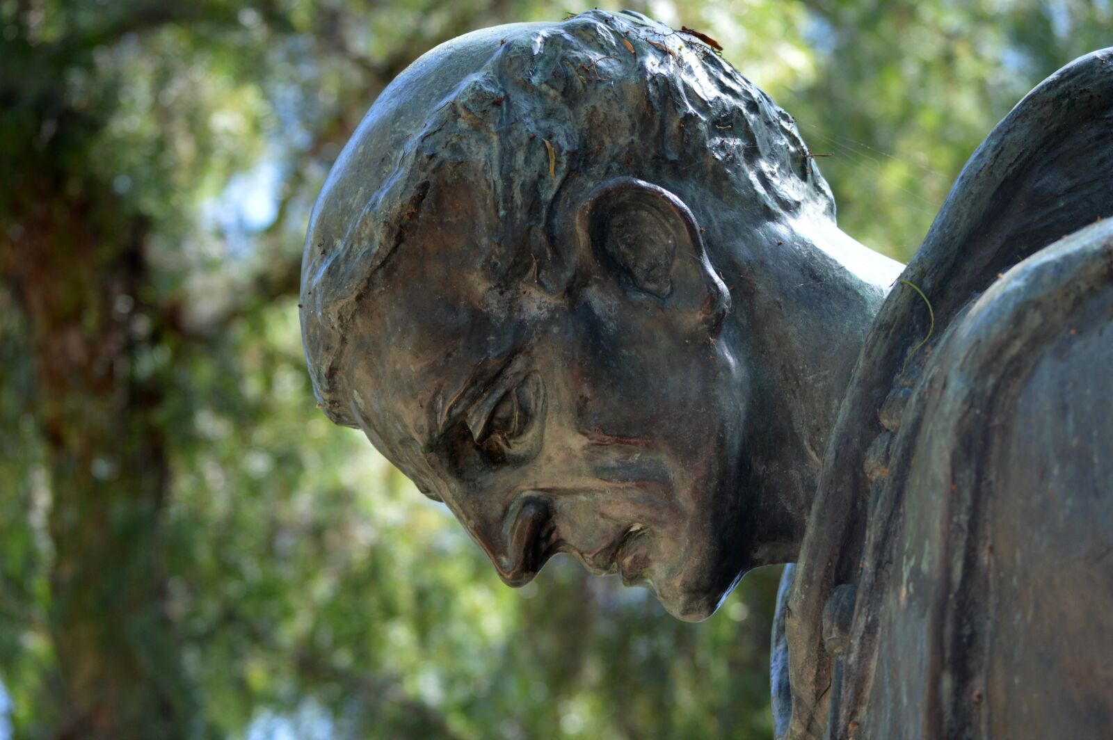 Nikon D3200 sample photo. Sculpture, bronze, face photography