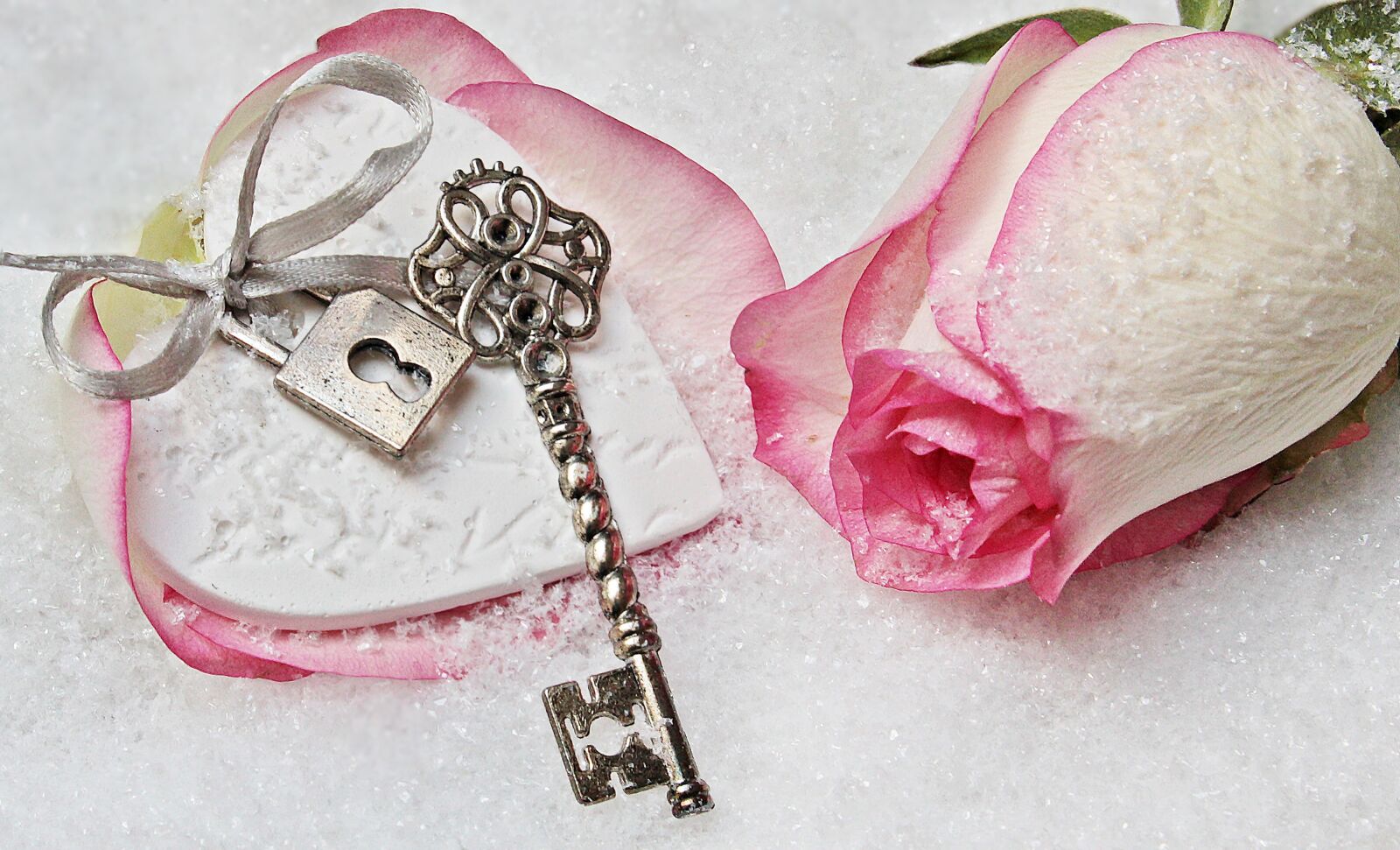 Canon EOS 550D (EOS Rebel T2i / EOS Kiss X4) sample photo. Heart, key, rose photography