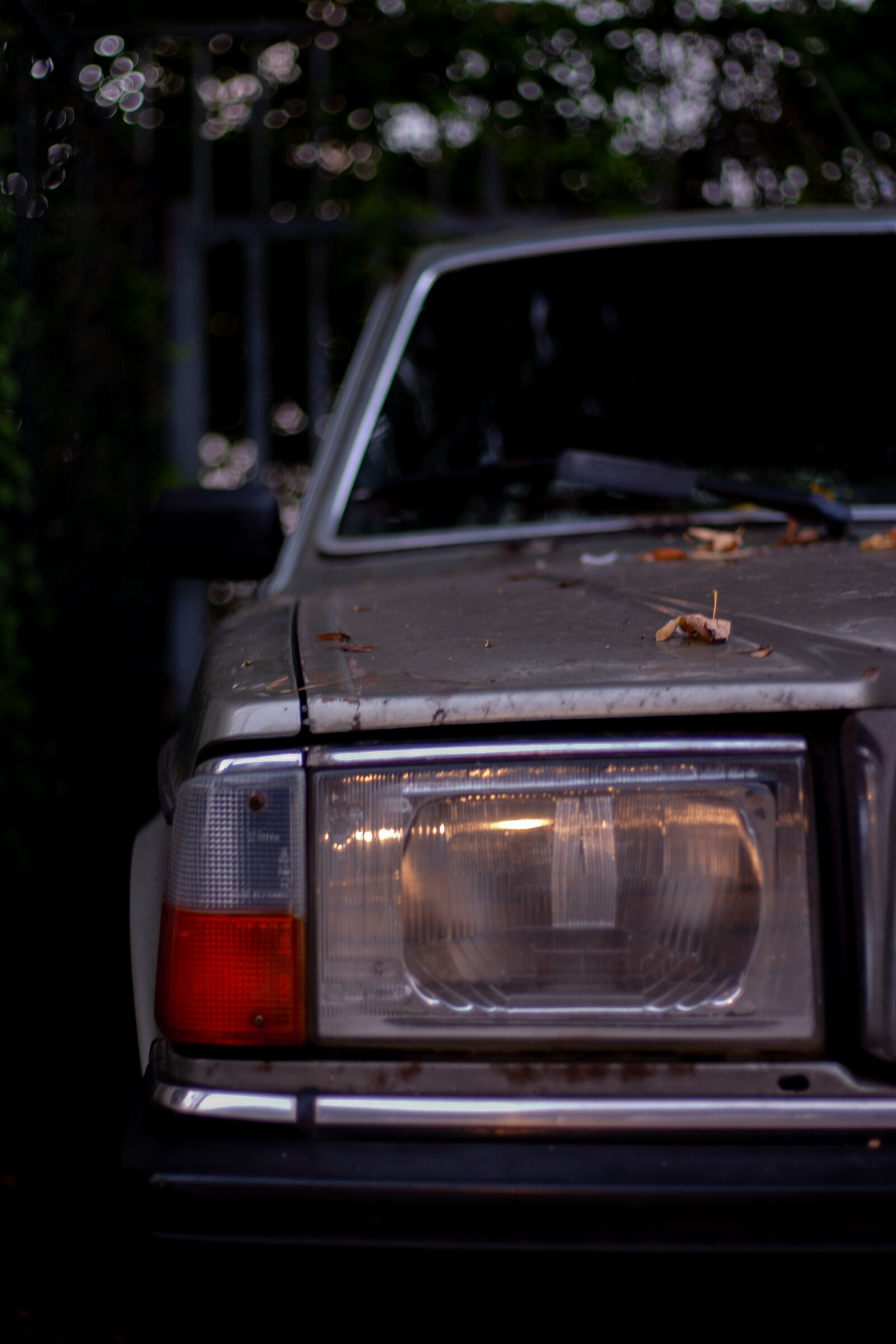Canon EOS 10D sample photo