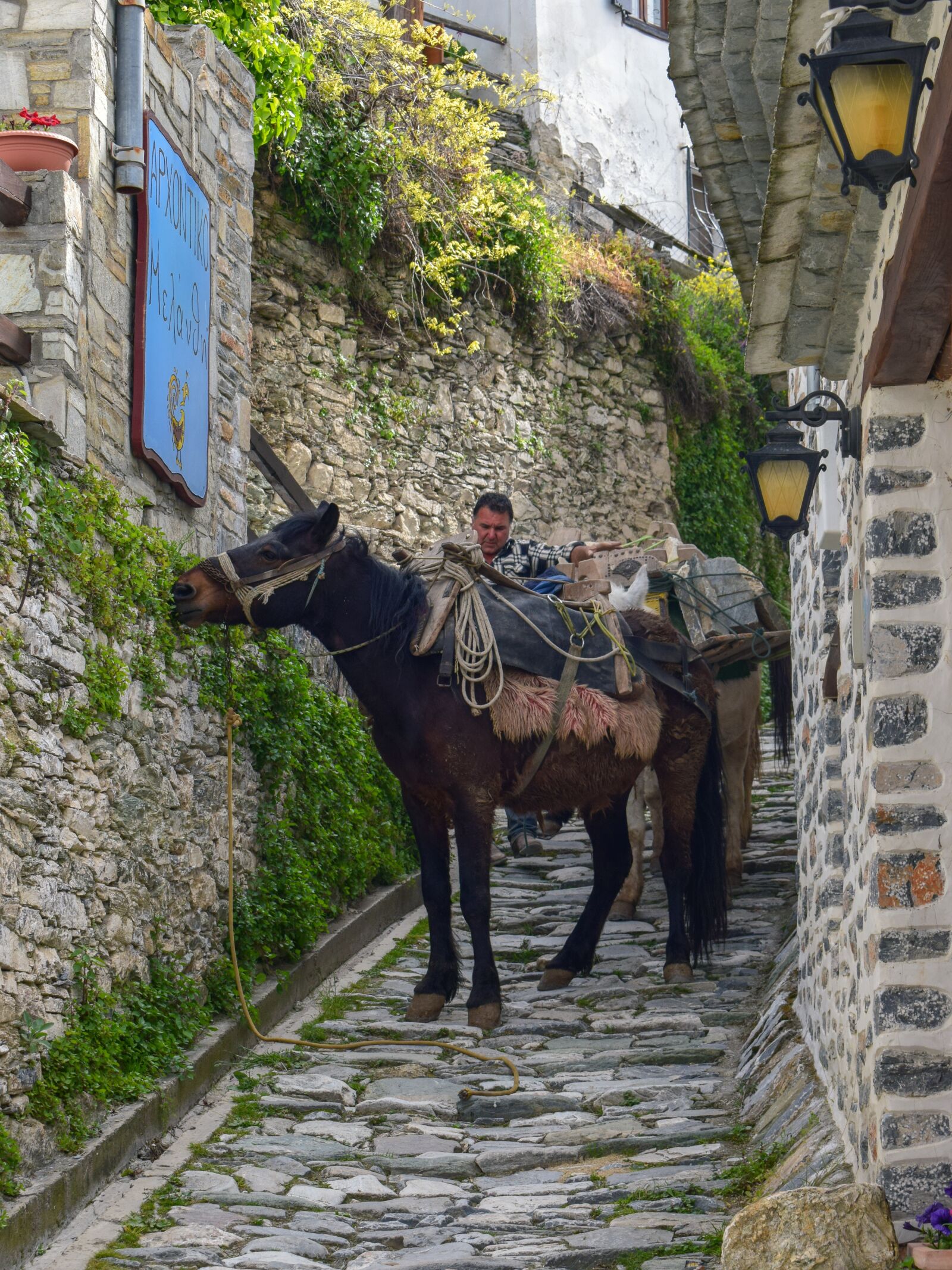 Nikon D3300 sample photo. Mules, path, architecture photography