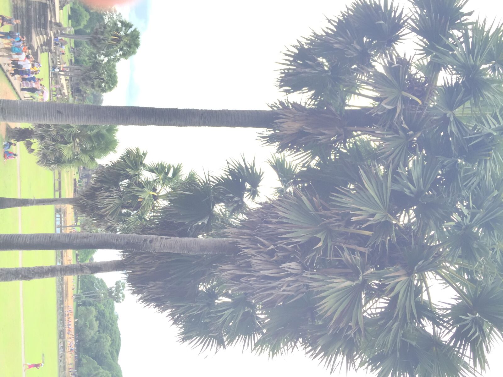 Apple iPhone 6 sample photo. Angkor, angkor, thom, cambodia photography