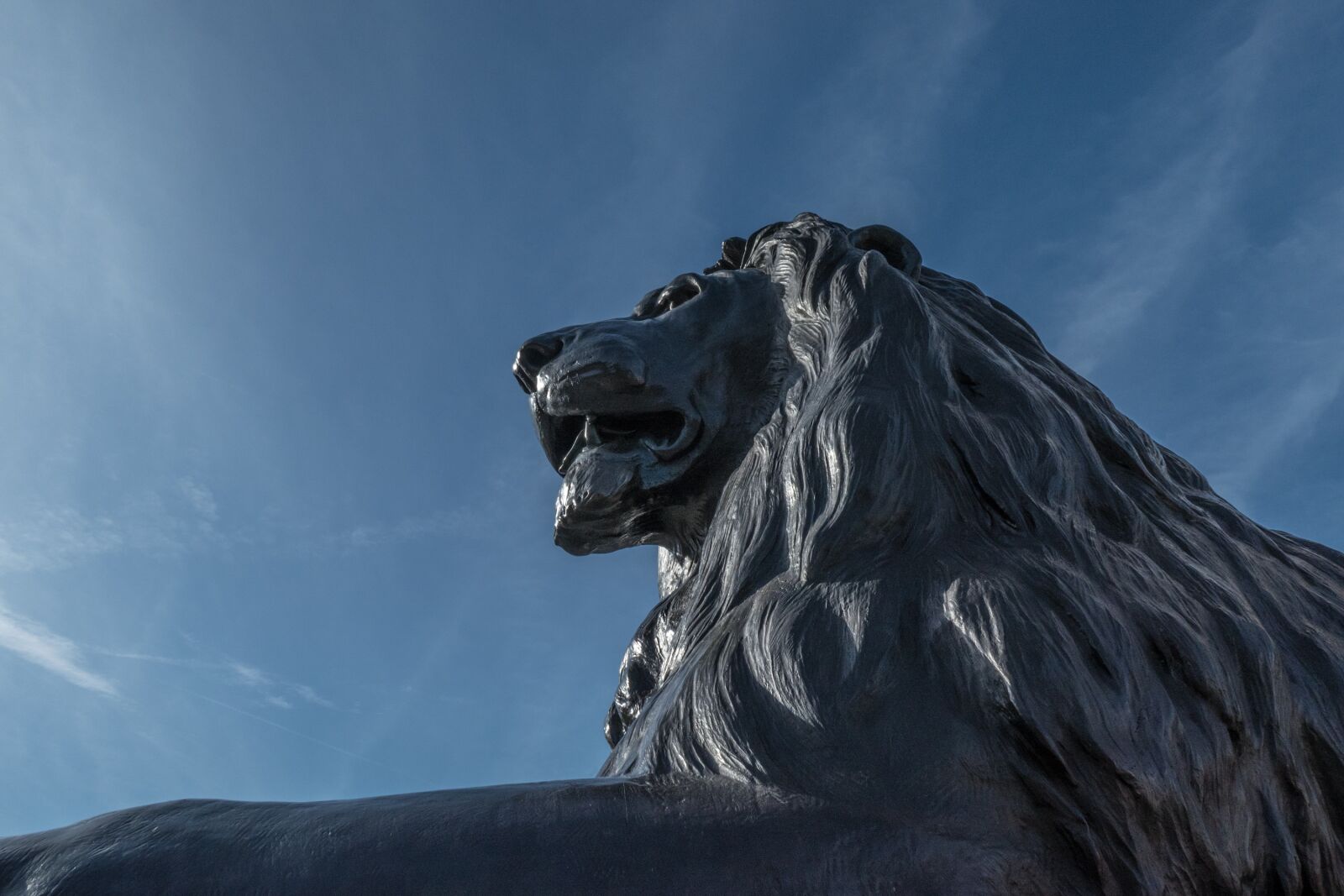 Panasonic DC-TZ200 sample photo. Lion, statue, sculpture photography