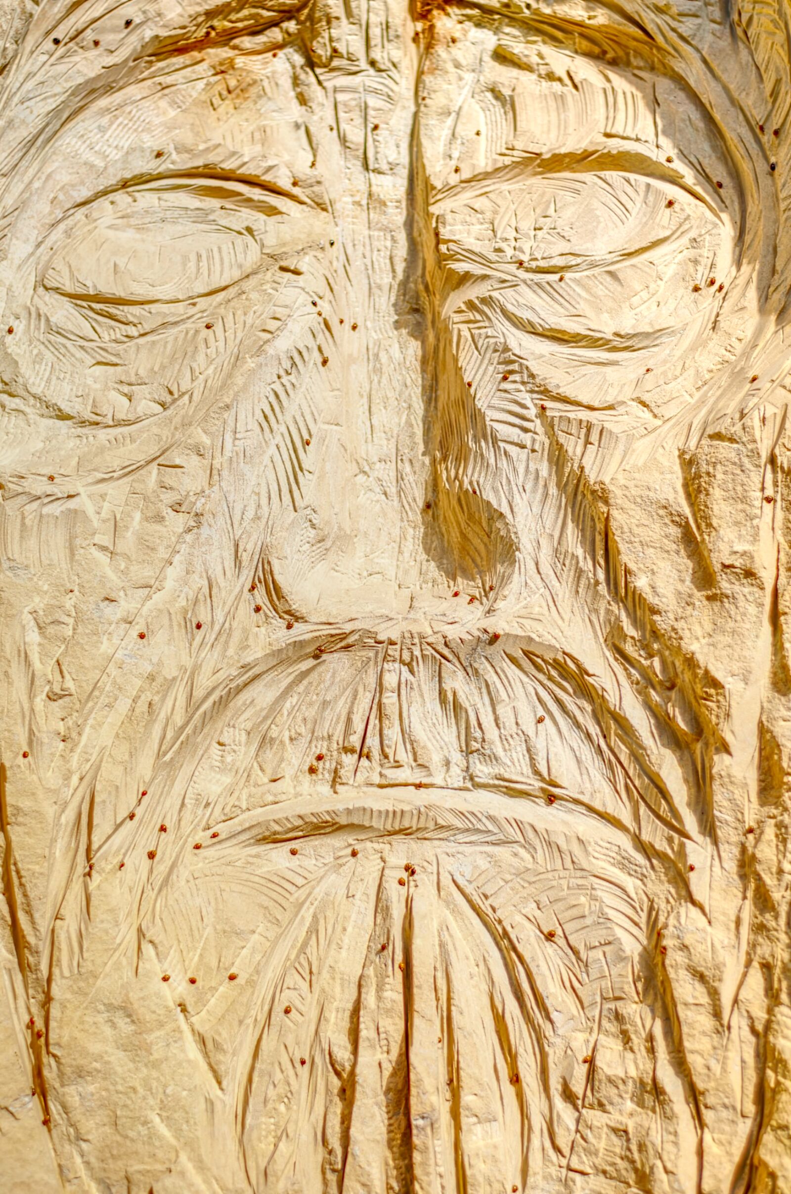 Nikon D5100 sample photo. Statue, wood, sculpture photography
