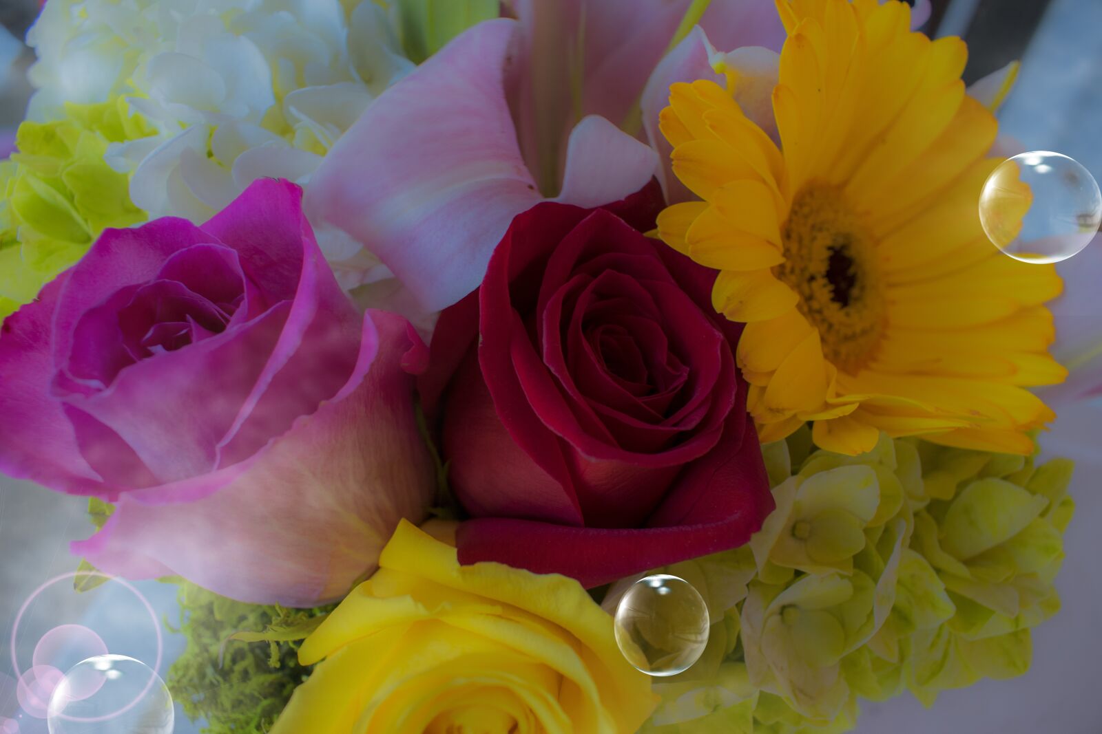 Nikon D3300 sample photo. Flower, floral, bouquet photography