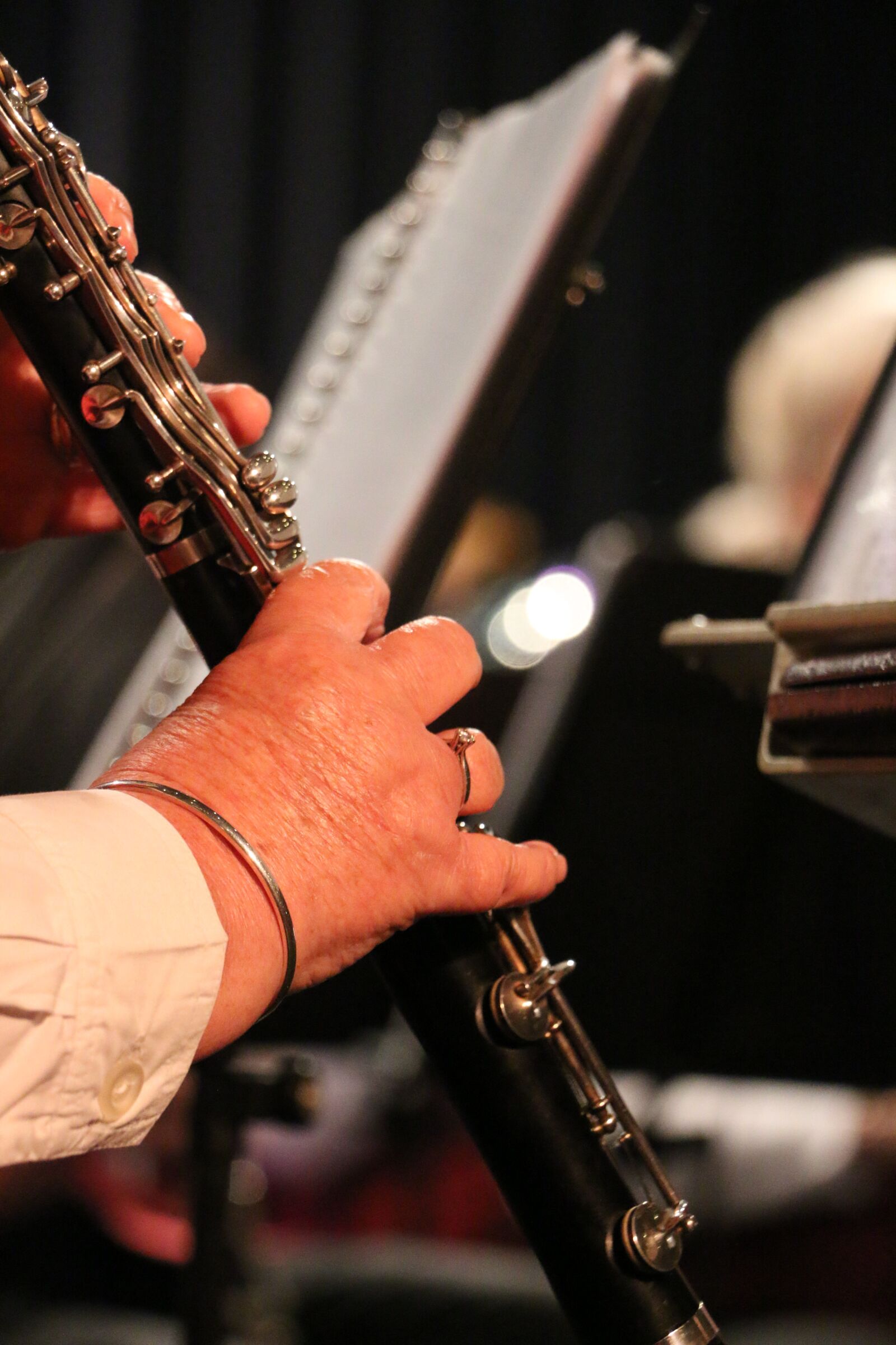 Canon EOS 70D sample photo. Musical instrument, orchestra, music photography
