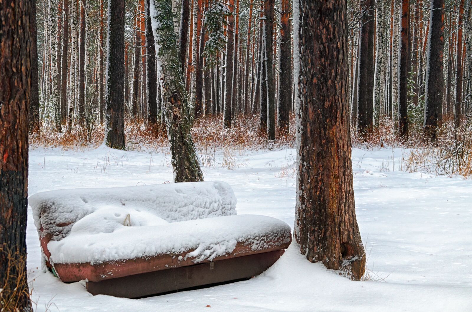 Pentax K-500 sample photo. Winter, sofa, forest photography