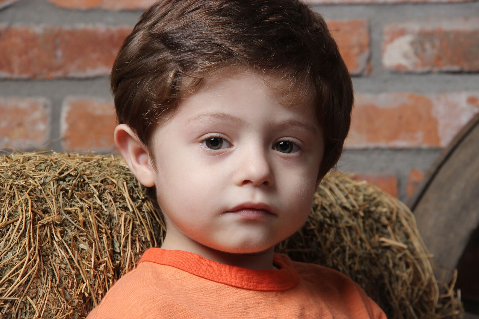 Canon EOS 600D (Rebel EOS T3i / EOS Kiss X5) sample photo. Child, boy, children's day photography