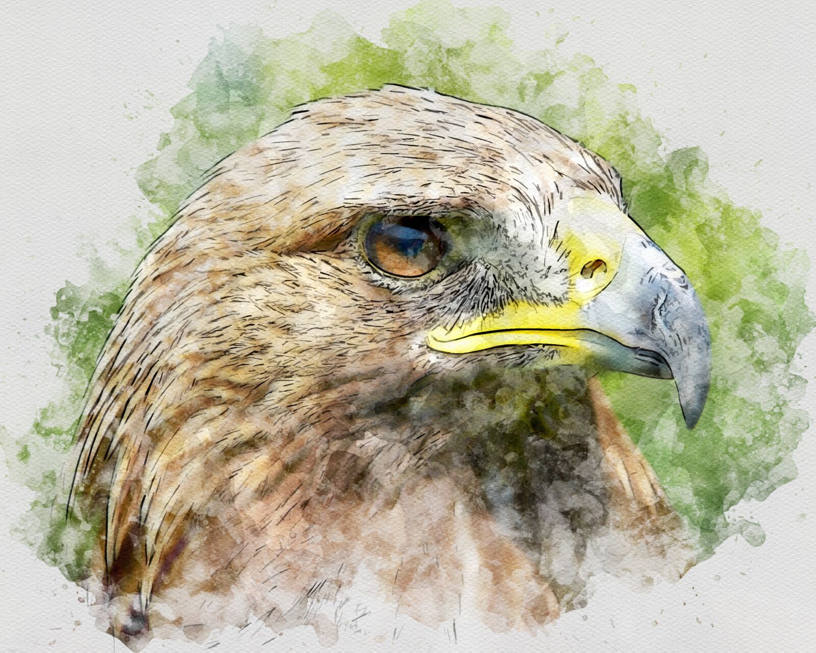Canon EOS 500D (EOS Rebel T1i / EOS Kiss X3) sample photo. Adler, eagle, raptor photography