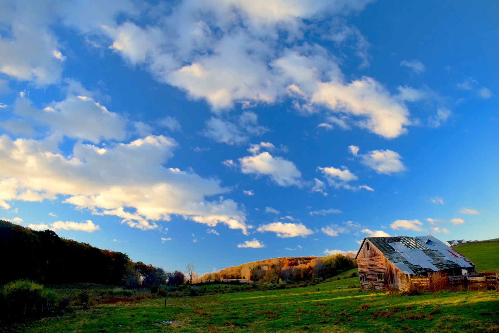 Nikon D3300 sample photo. Farm, rustic, shack photography