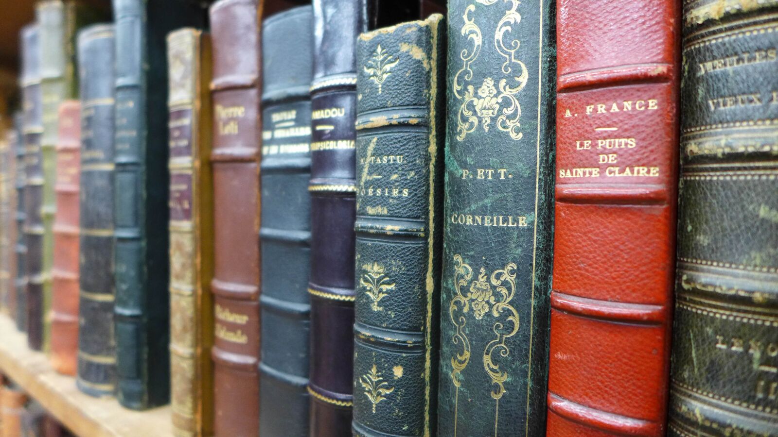 Leica D-Lux 6 sample photo. Books, book shelf, bookcase photography