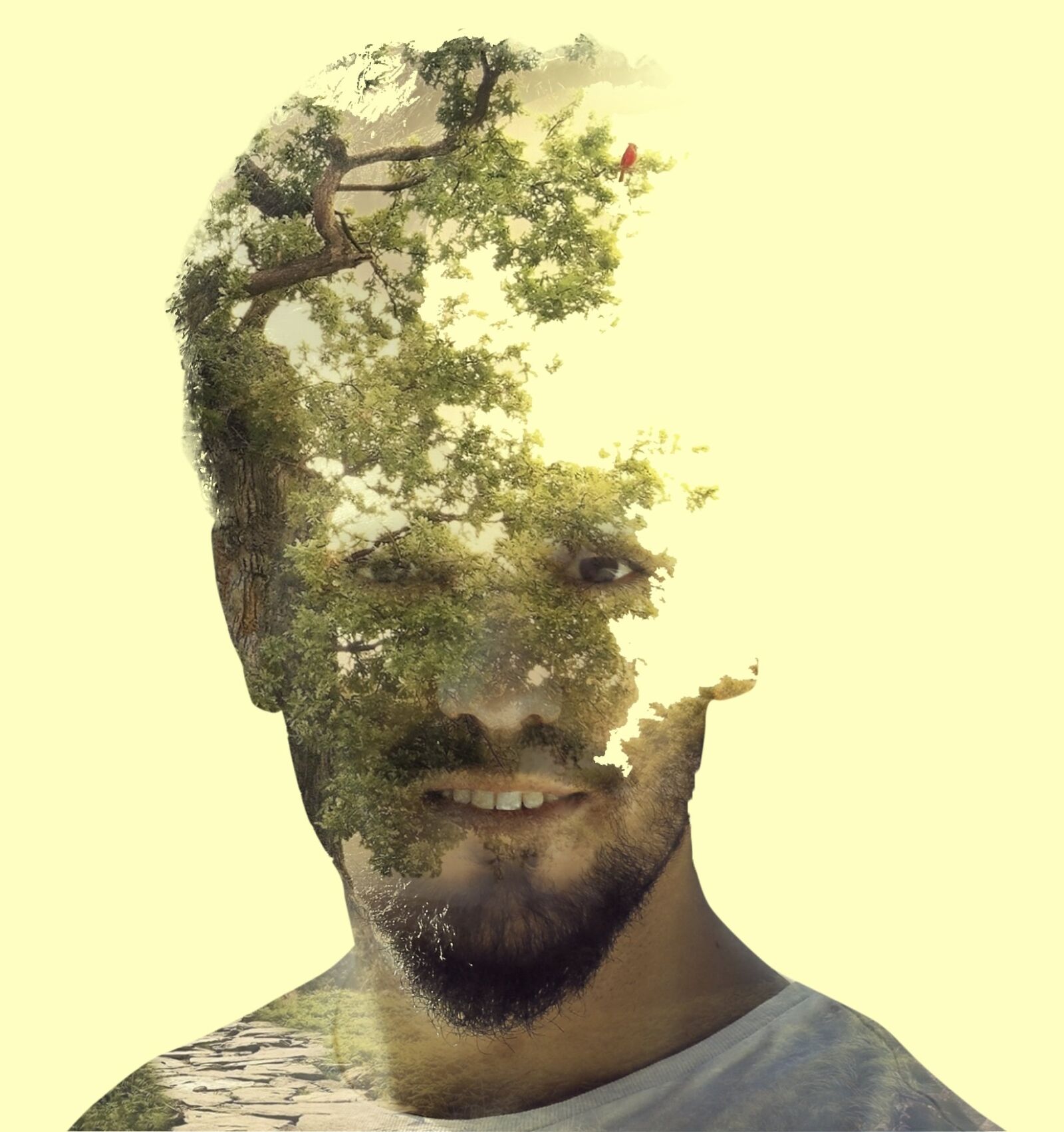 Canon EF 24-70mm F2.8L II USM sample photo. Double exposure, photoshop, layer photography