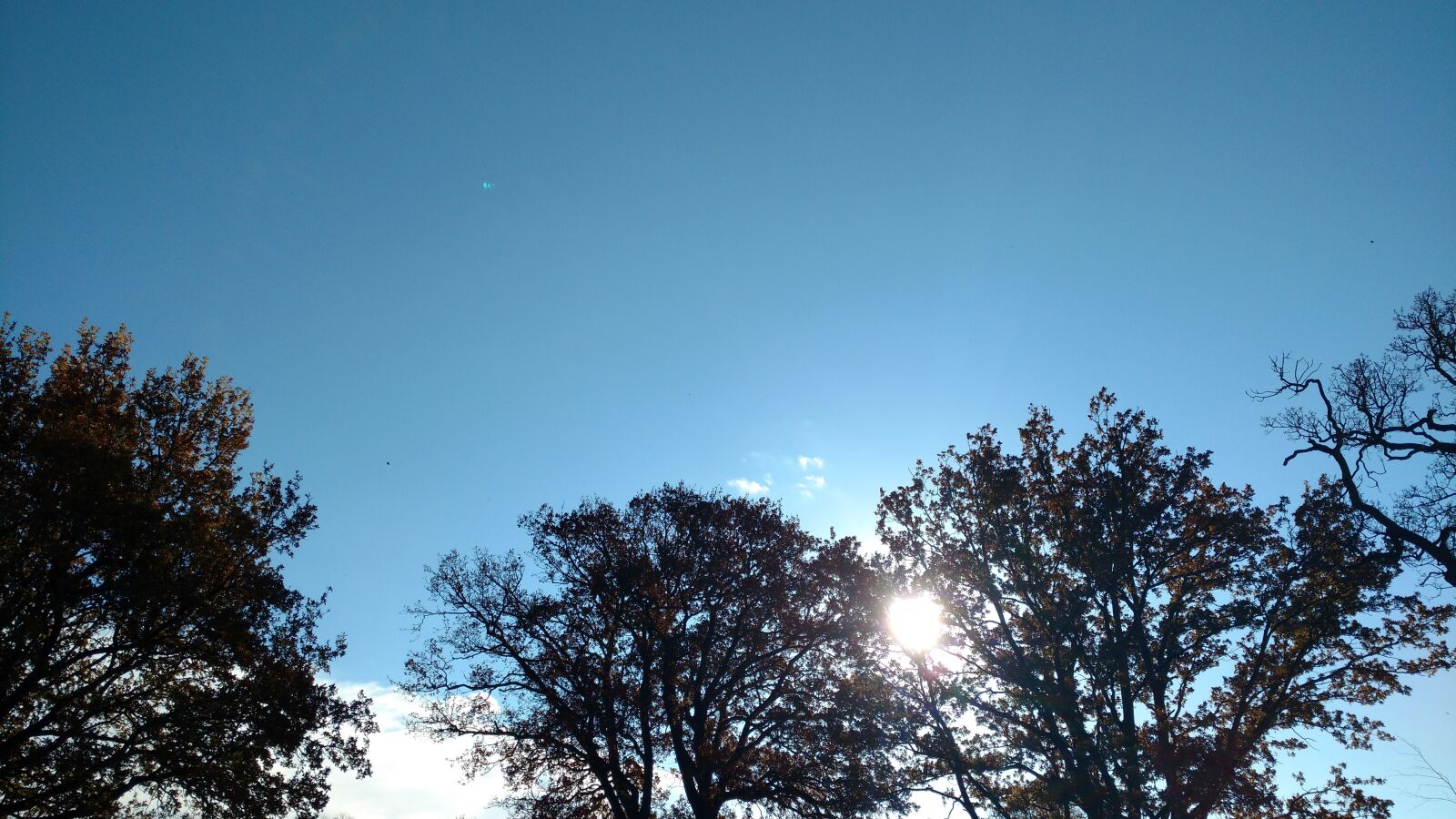 Motorola Moto X Play sample photo. Nature, sun, sky photography