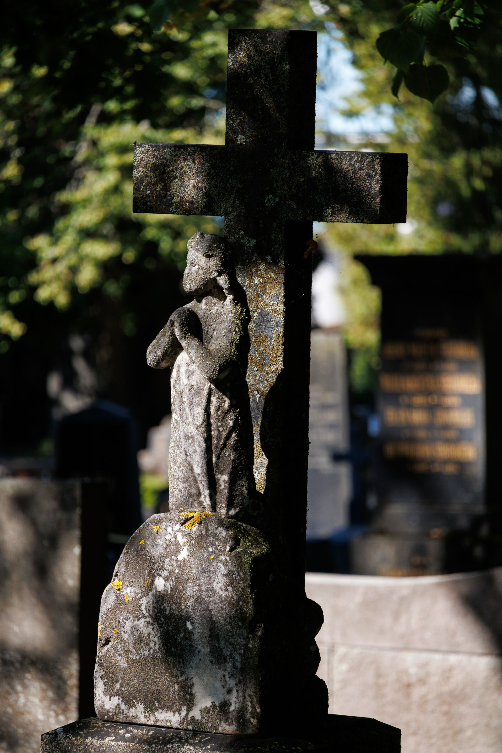 Canon EOS R100 sample photo. Cross of graveyard photography