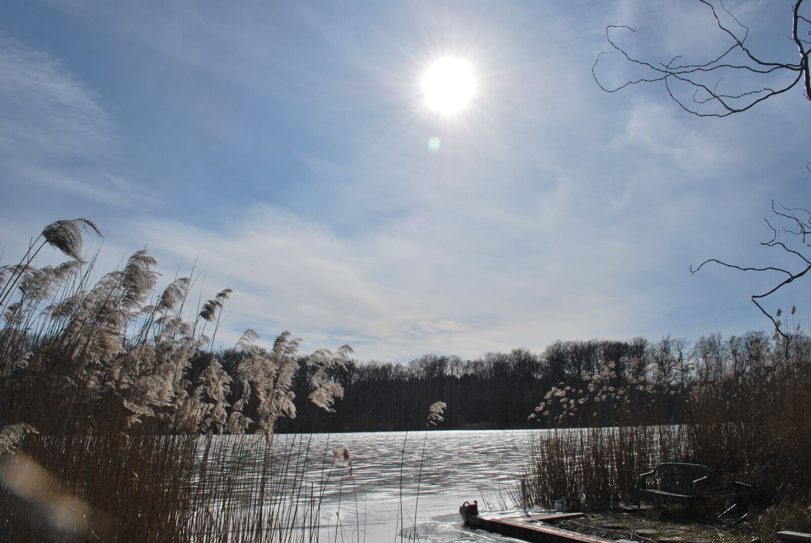 Nikon D60 sample photo. Nature, waters, winter photography