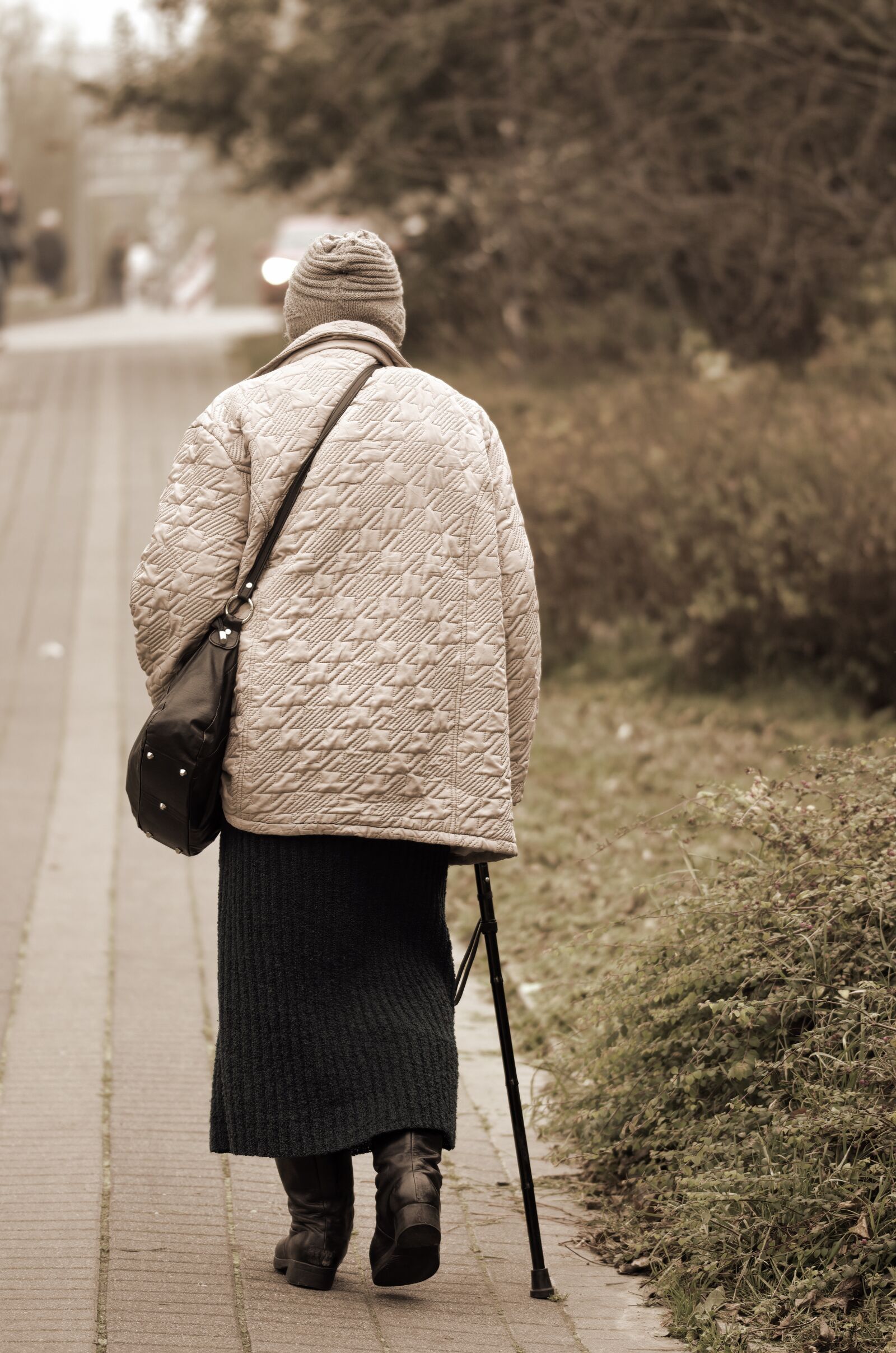 Nikon D5100 sample photo. Woman, old, cane photography