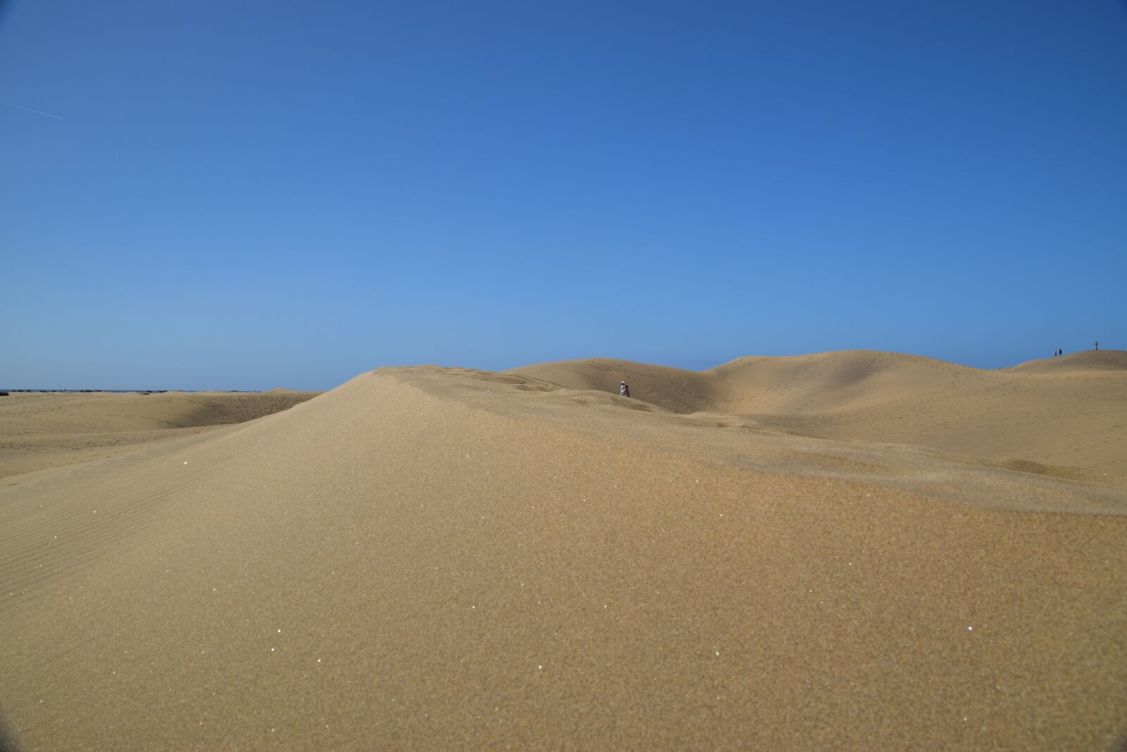 Nikon D3300 sample photo. Desert, beach, gran canaria photography
