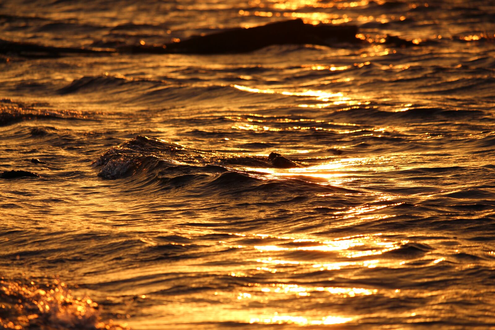 Canon EF-S 55-250mm F4-5.6 IS STM sample photo. Sunset, golden water, water photography