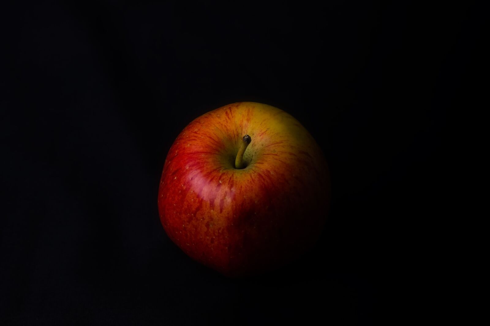 Canon EOS 550D (EOS Rebel T2i / EOS Kiss X4) sample photo. Red, apple, fine art photography