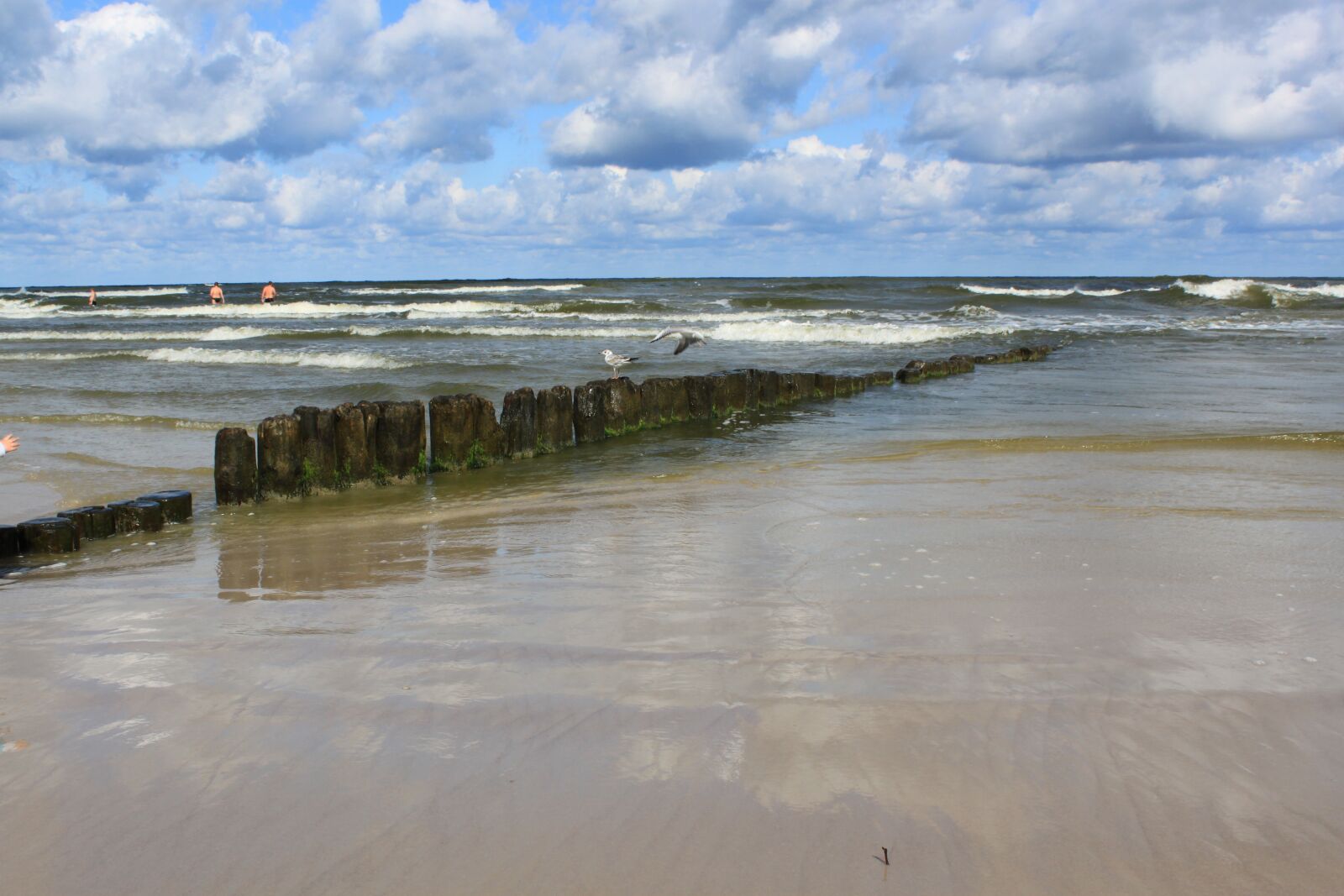 Canon EOS 500D (EOS Rebel T1i / EOS Kiss X3) sample photo. Water, sea, the baltic photography
