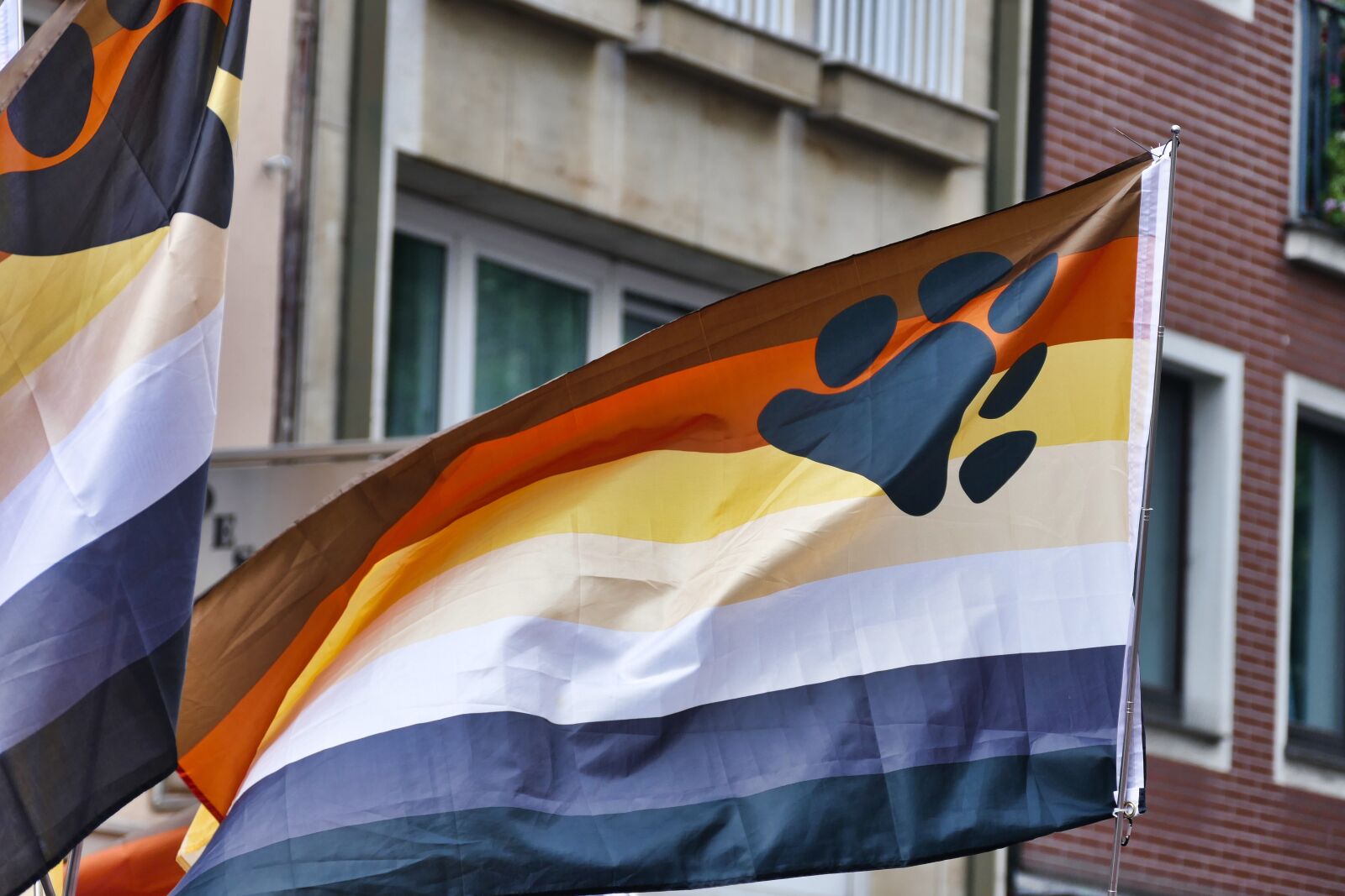 Panasonic Lumix DMC-FZ1000 sample photo. Flag, gay, bear photography