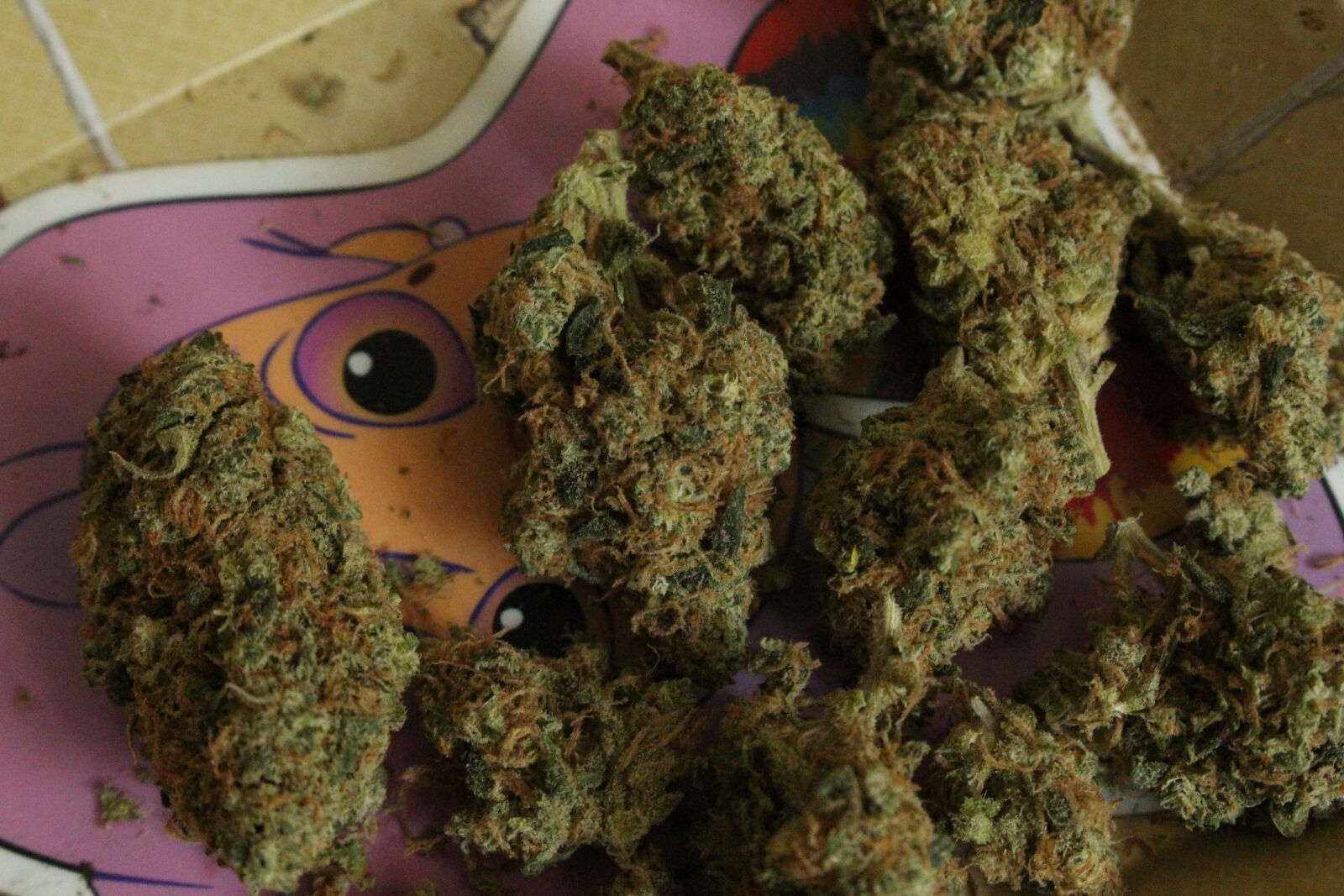 Canon EOS 700D (EOS Rebel T5i / EOS Kiss X7i) sample photo. 420, bud, cannabis, close photography